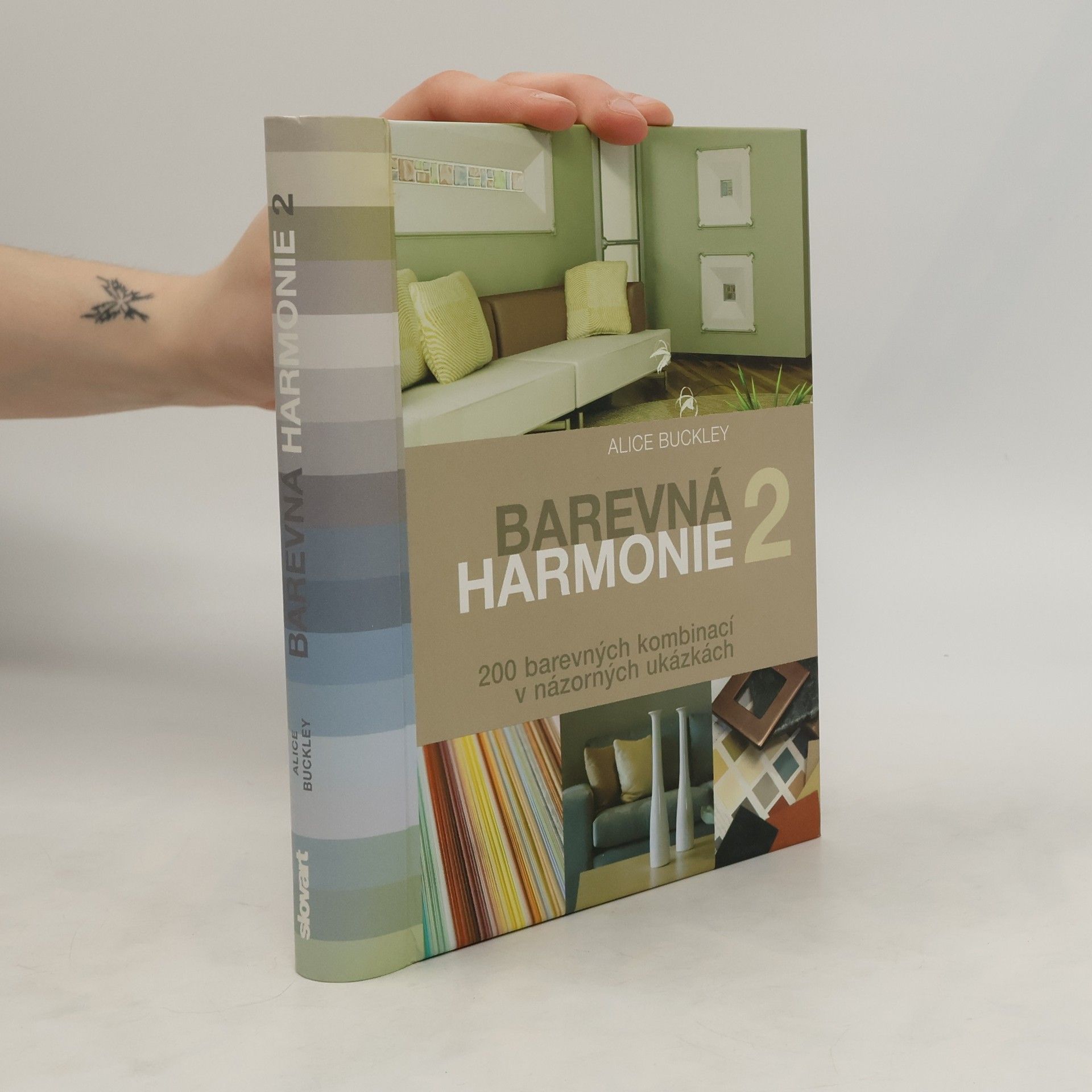Alice Buckley Barevná harmonie 2