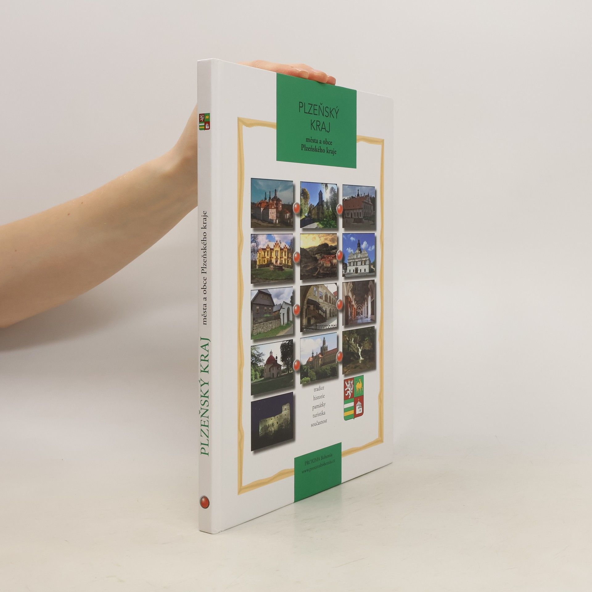 Kolektiv autorů Plzeňský kraj : města a obce Plzeňského kraje