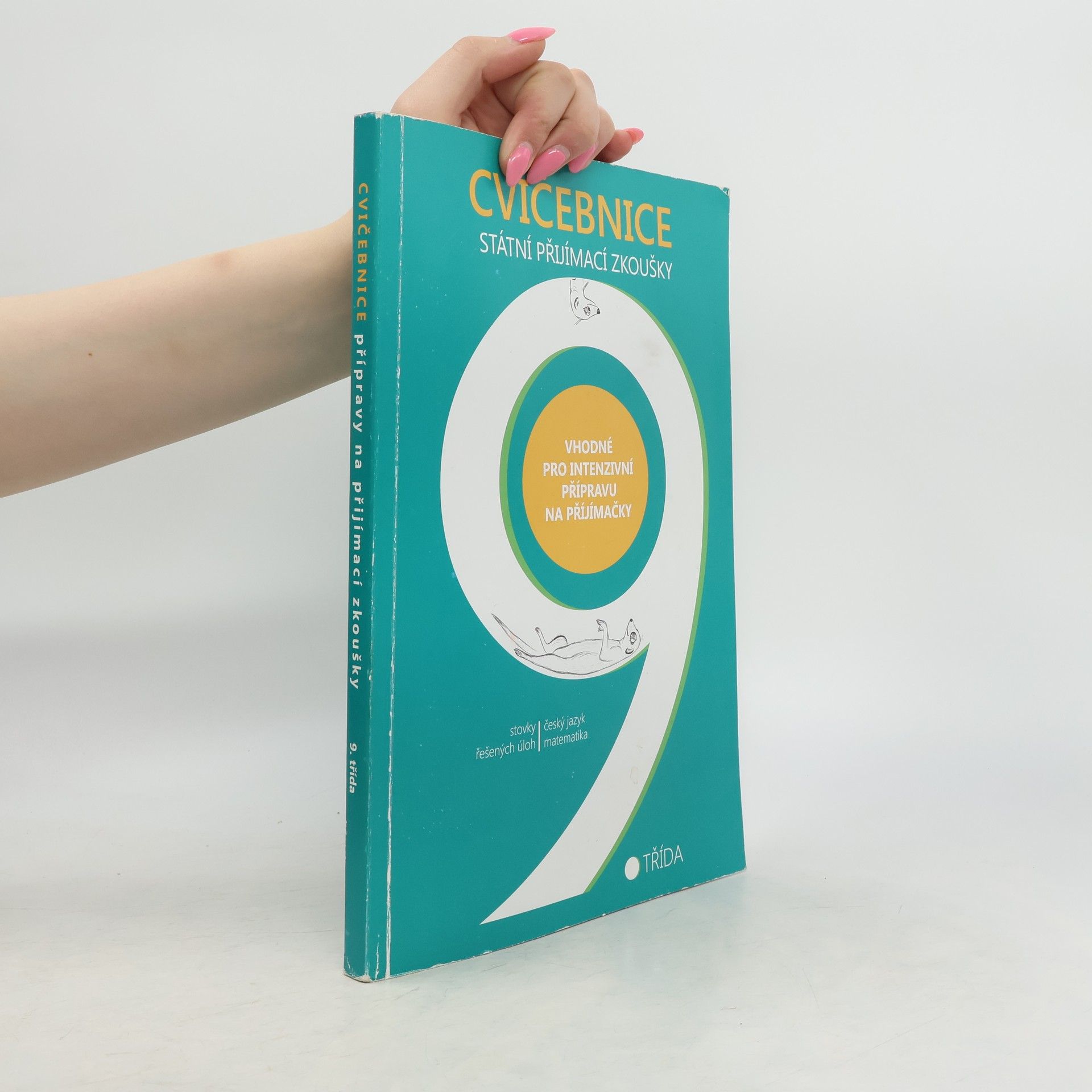 Autorenkollektiv Cvičebnice 9 - státní přijímací zkoušky