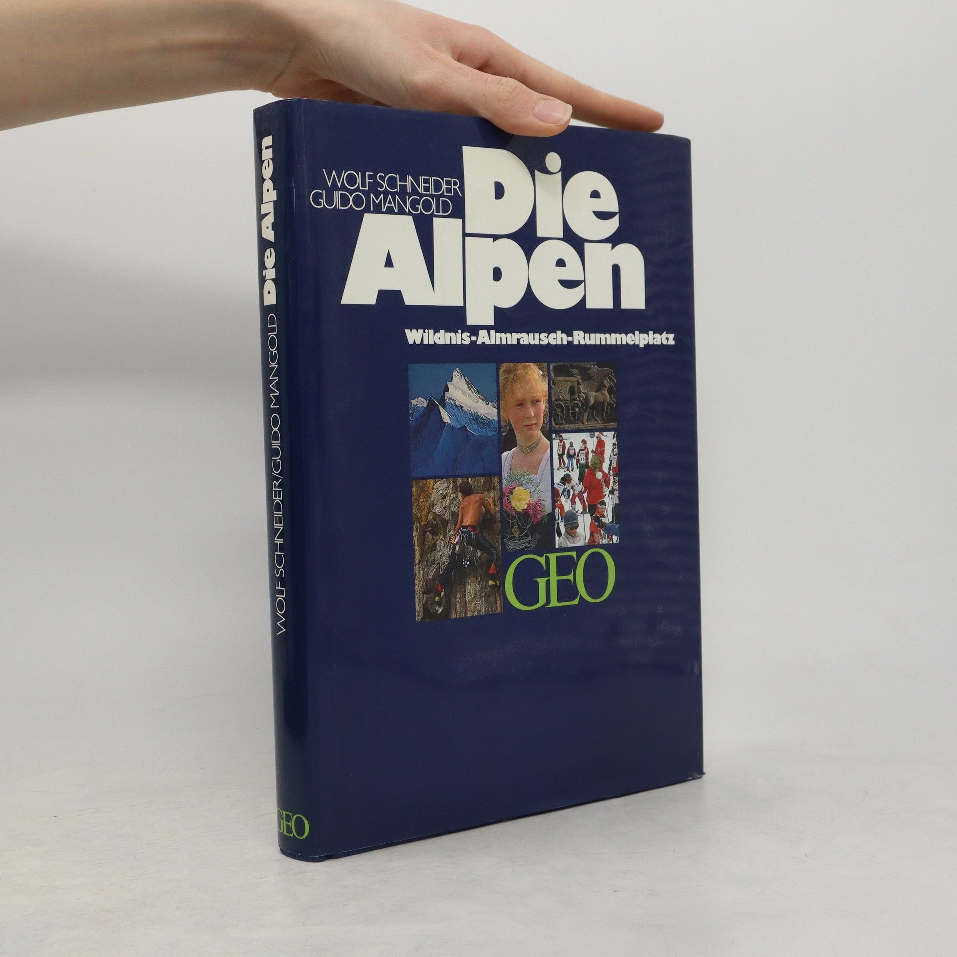 Wolf Schneider Die Alpen
