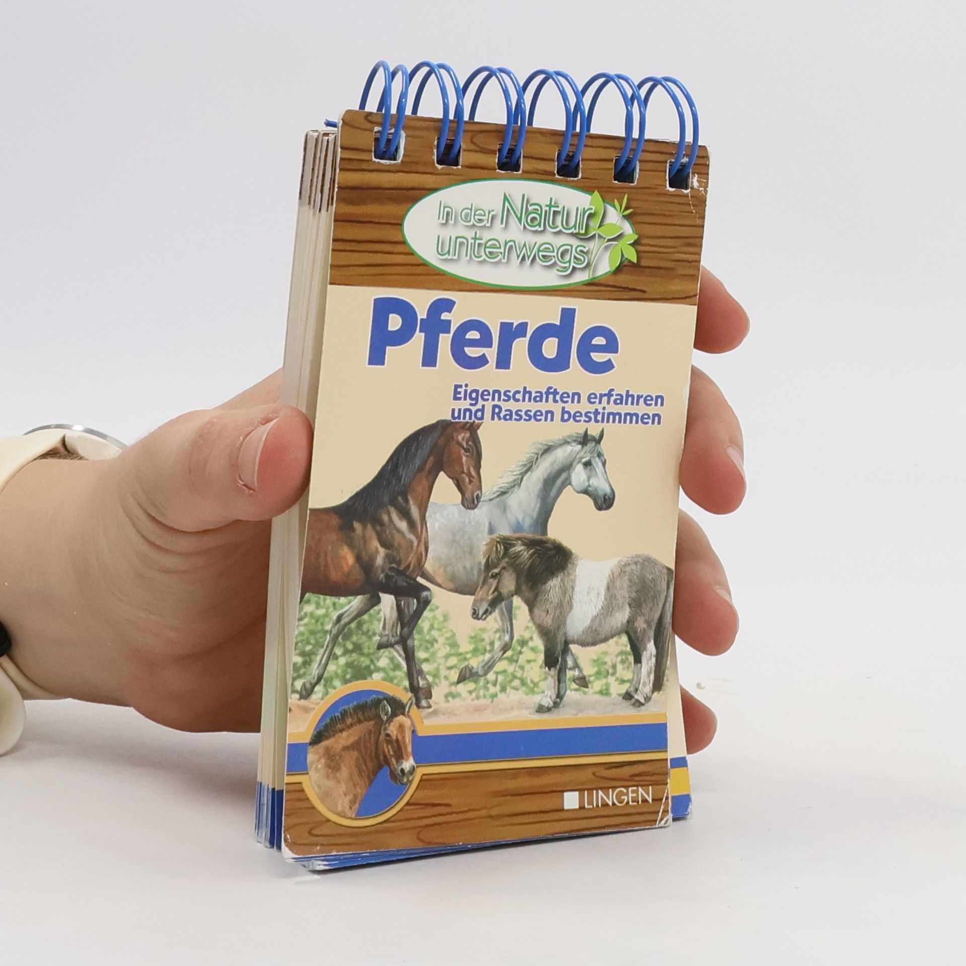 Collectif d'auteurs Pferde