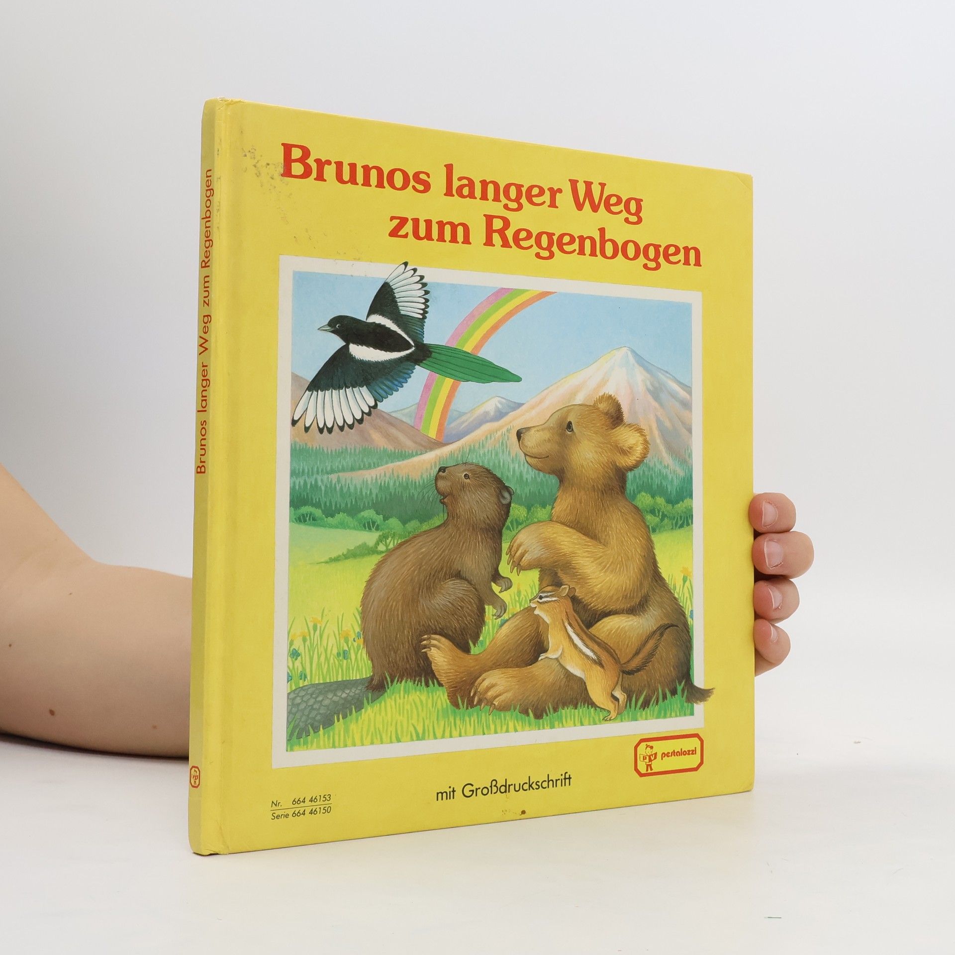 kolektiv Brunos langer Weg zum Regenbogen