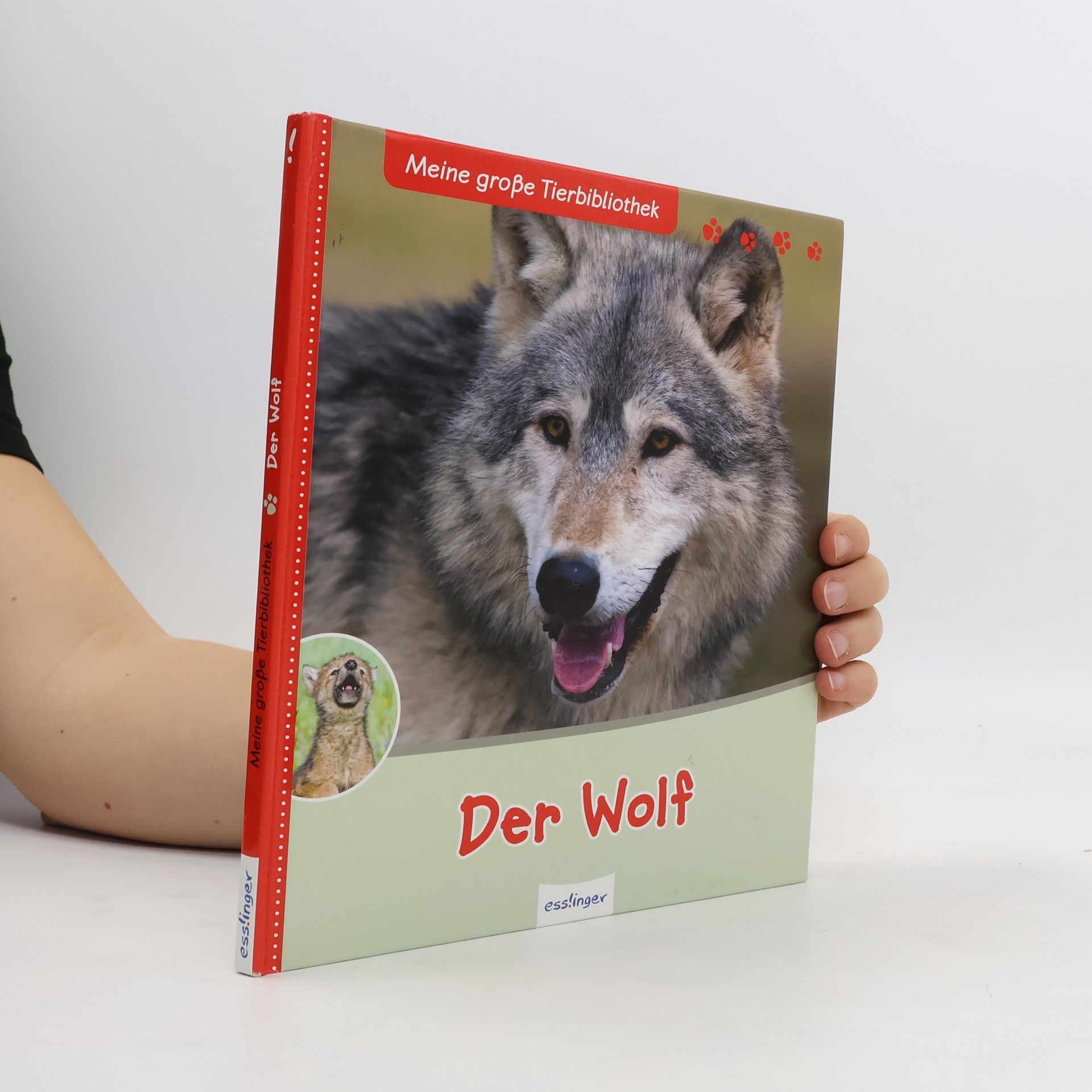 Christian Havard Der Wolf