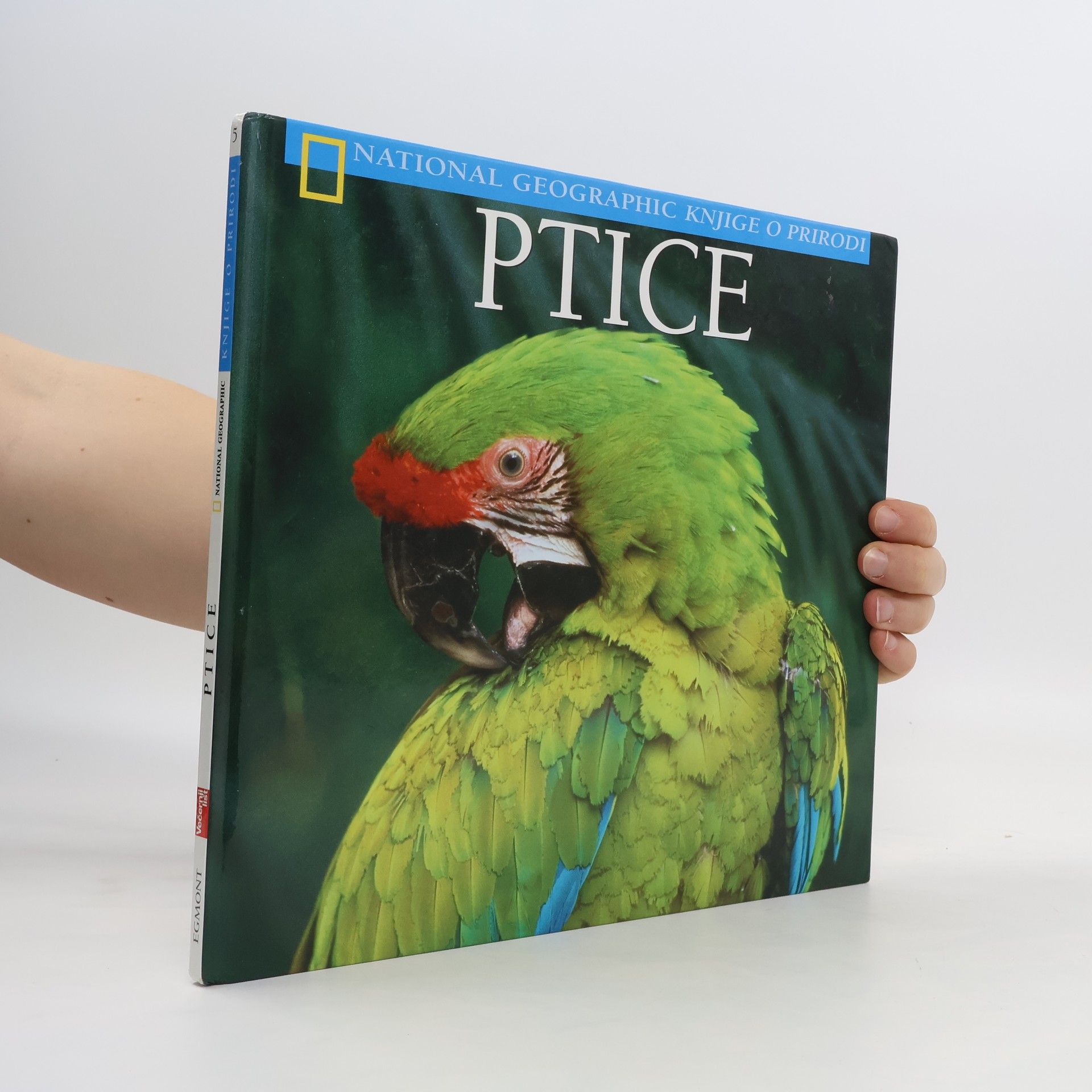 Karen Kostyal Ptice