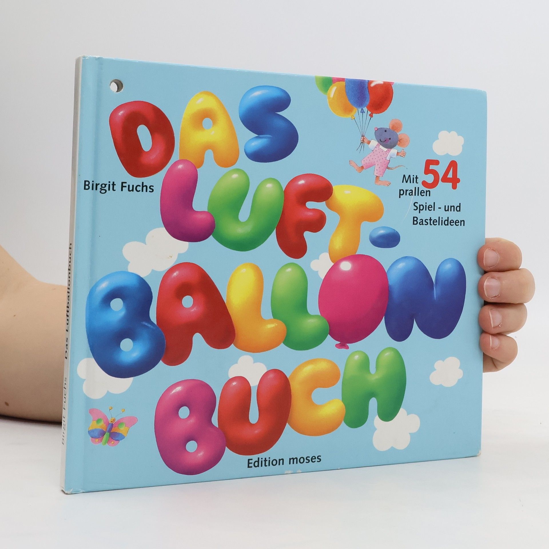 Birgit Fuchs Das Luftballon Buch