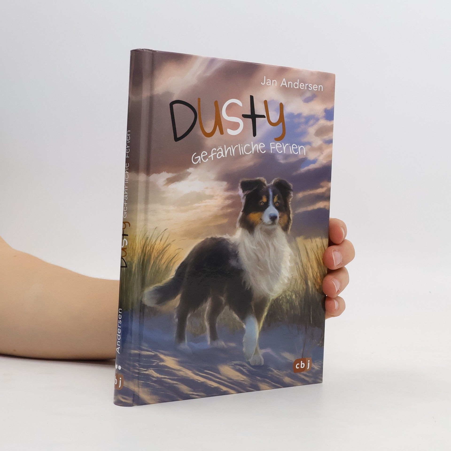 Wolfram Hänel Dusty. Gefährliche Ferien