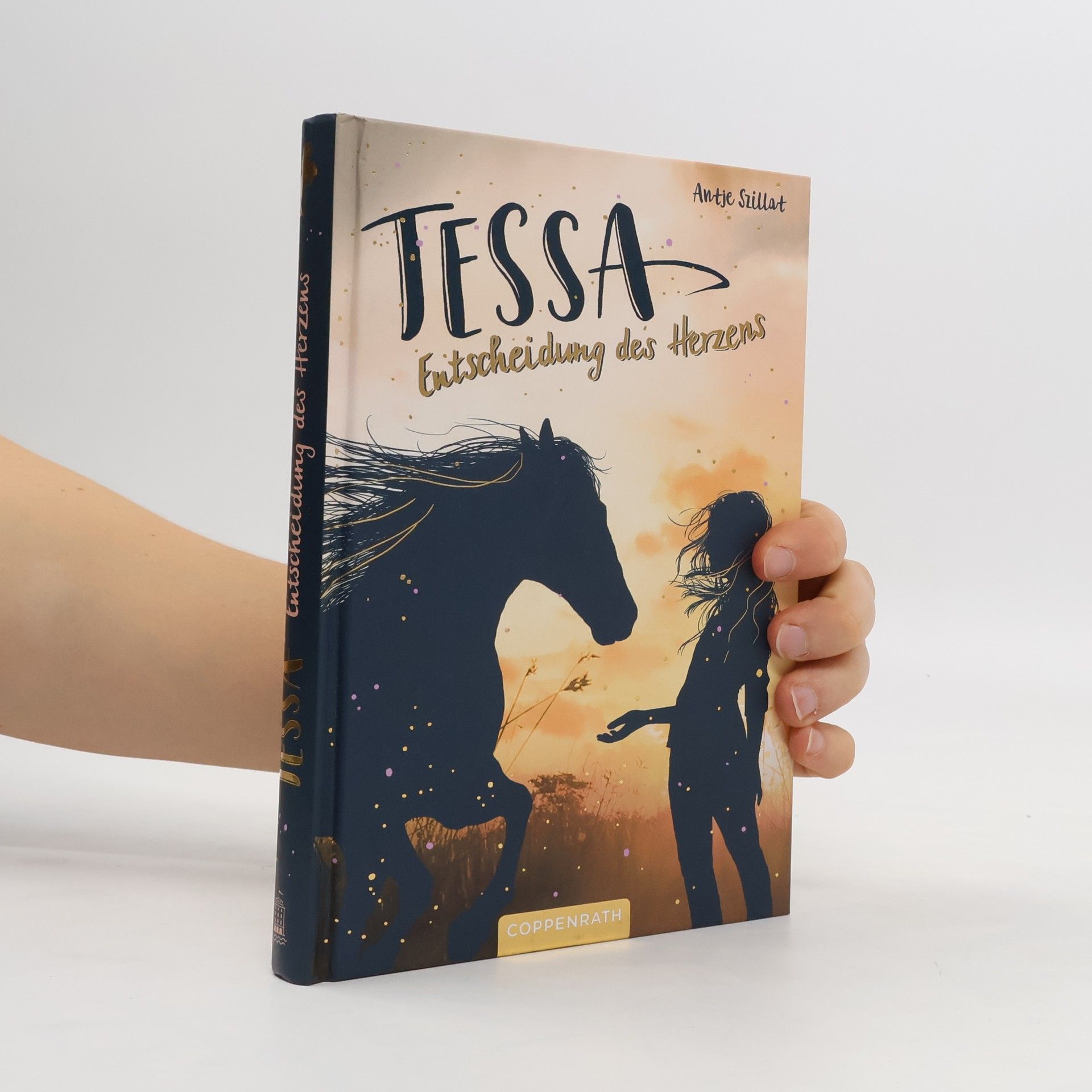 Antje Szillat Tessa (Bd. 1)