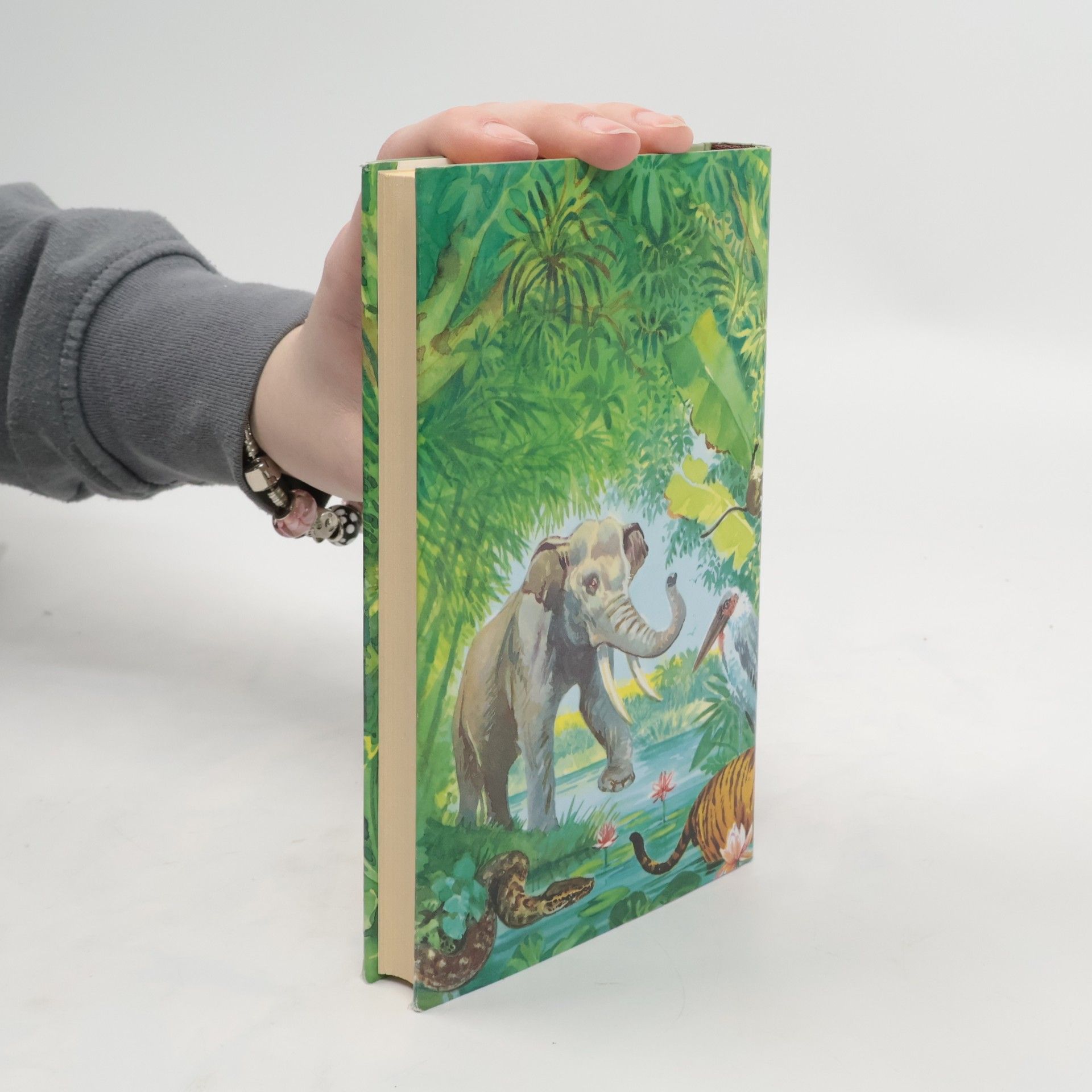 Rudyard Kipling Geschichten aus Simla
