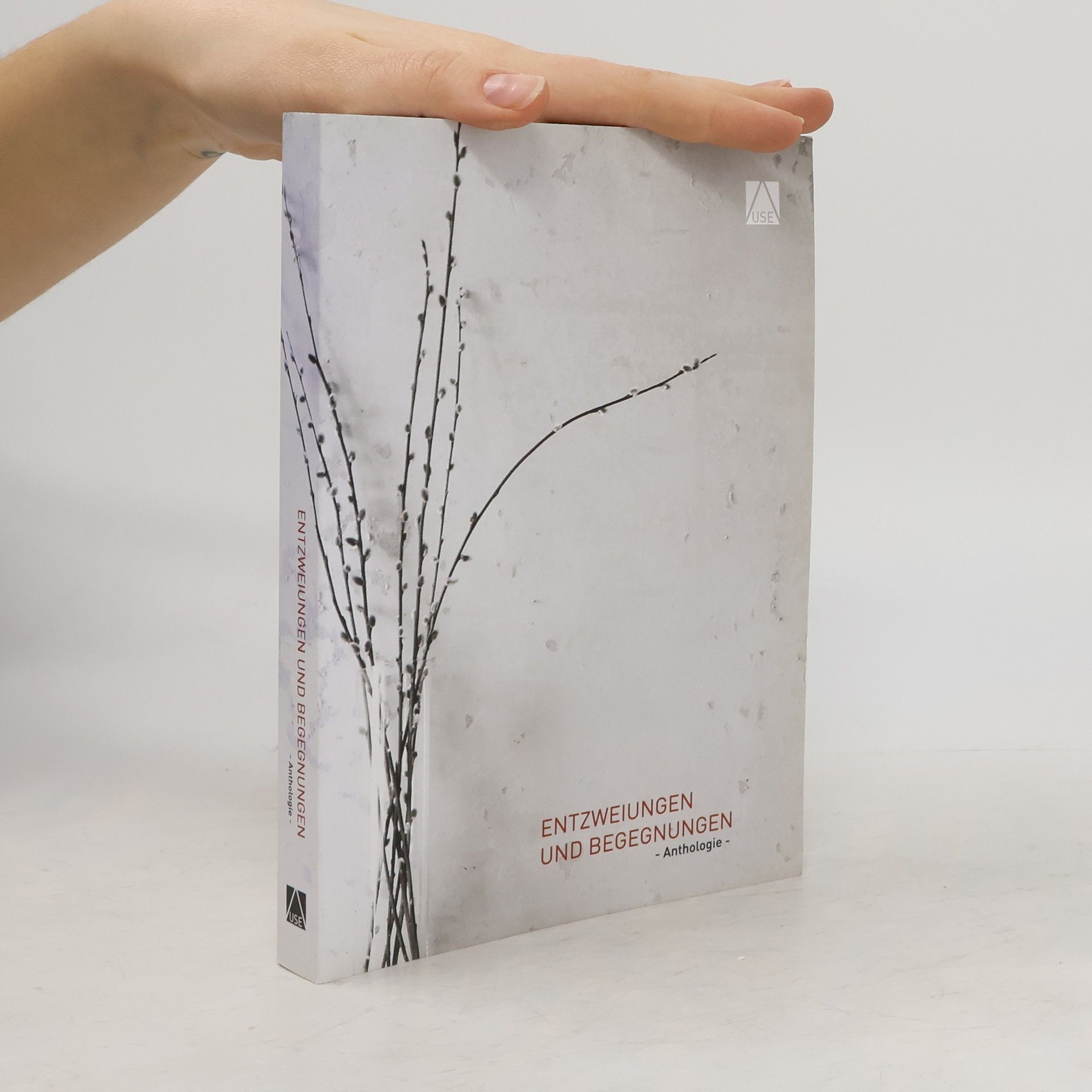 kolektiv Entzweiungen und Begegnungen