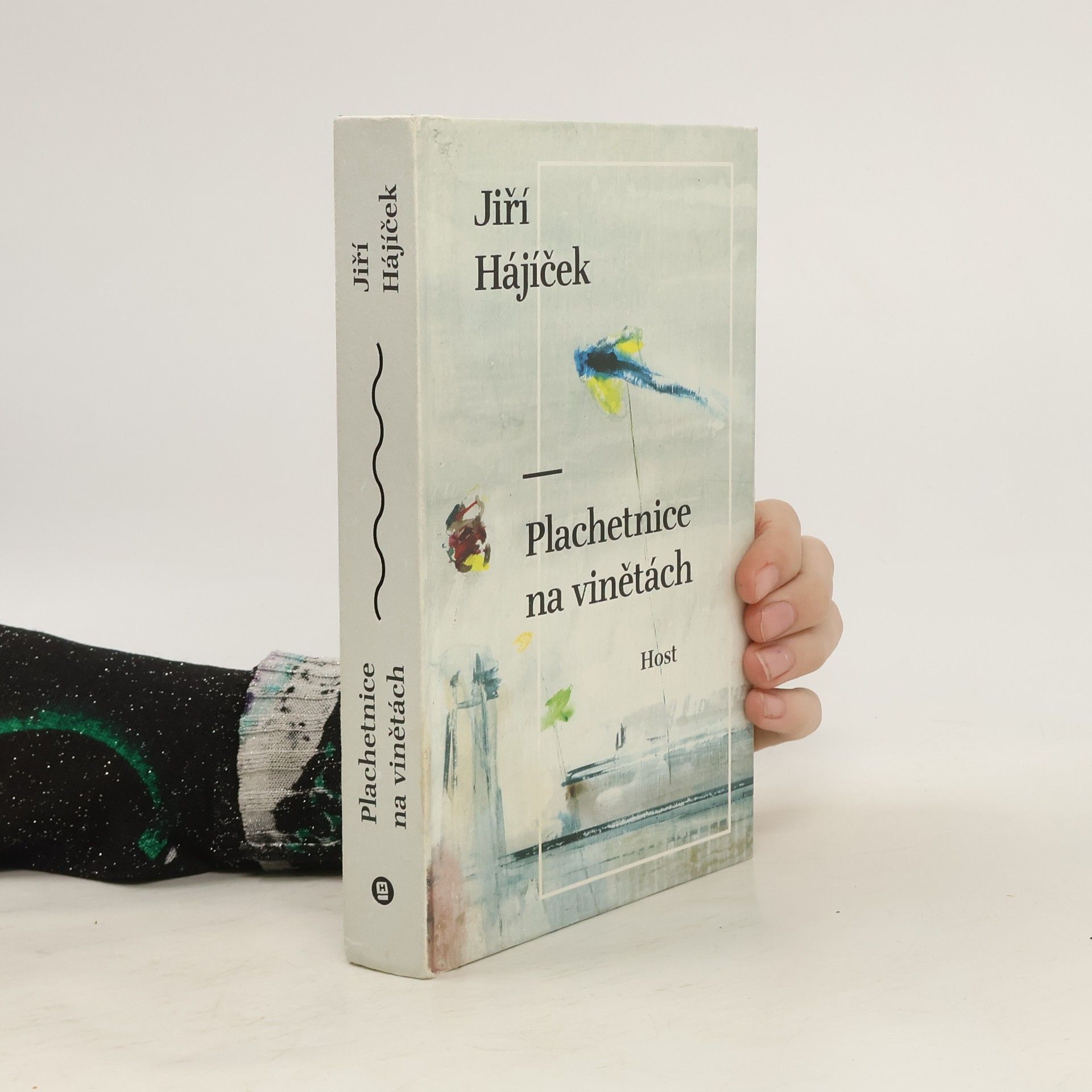 Jiří Hájíček Plachetnice na vinětách