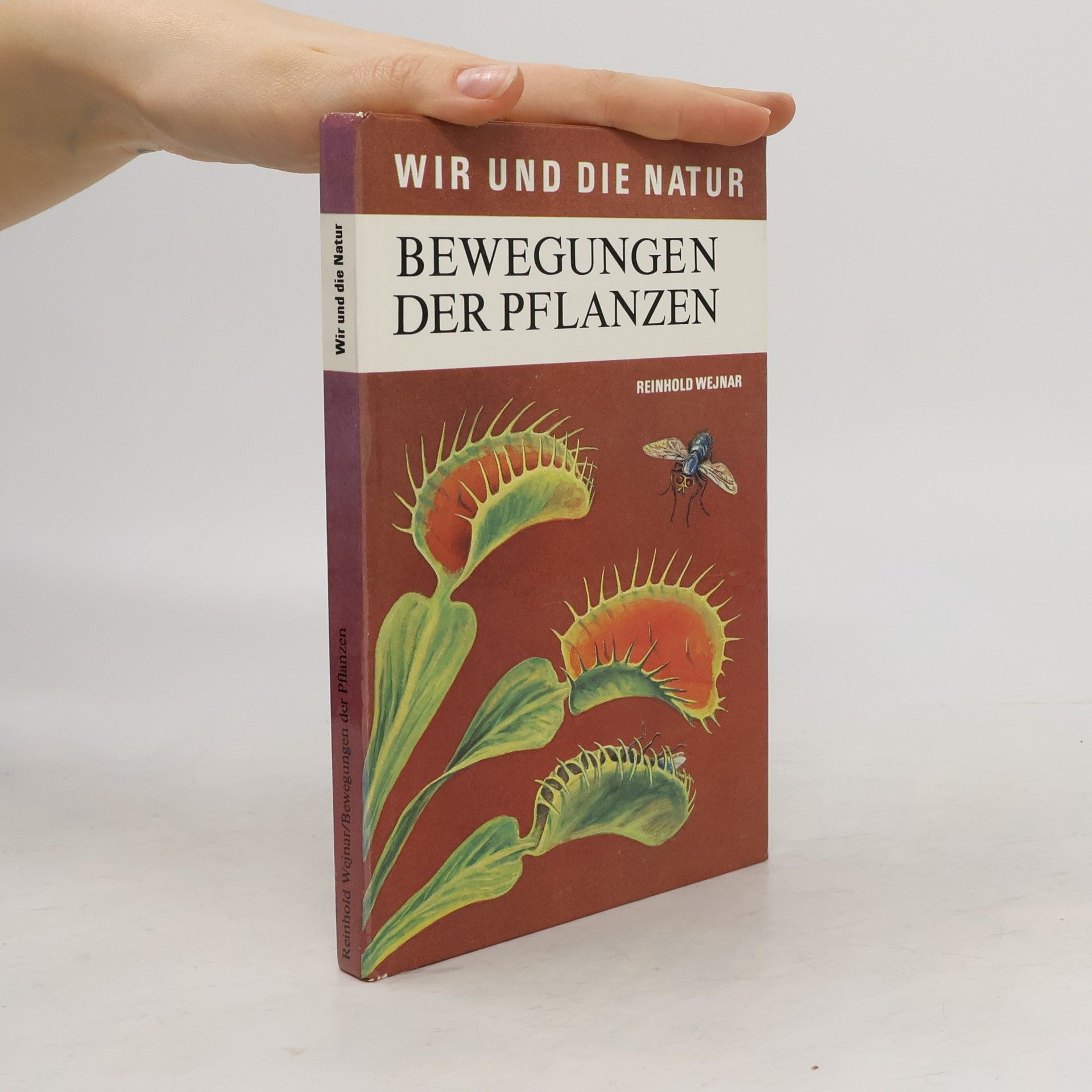 Reinhold Wejnar Bewegungen der Pflanzen