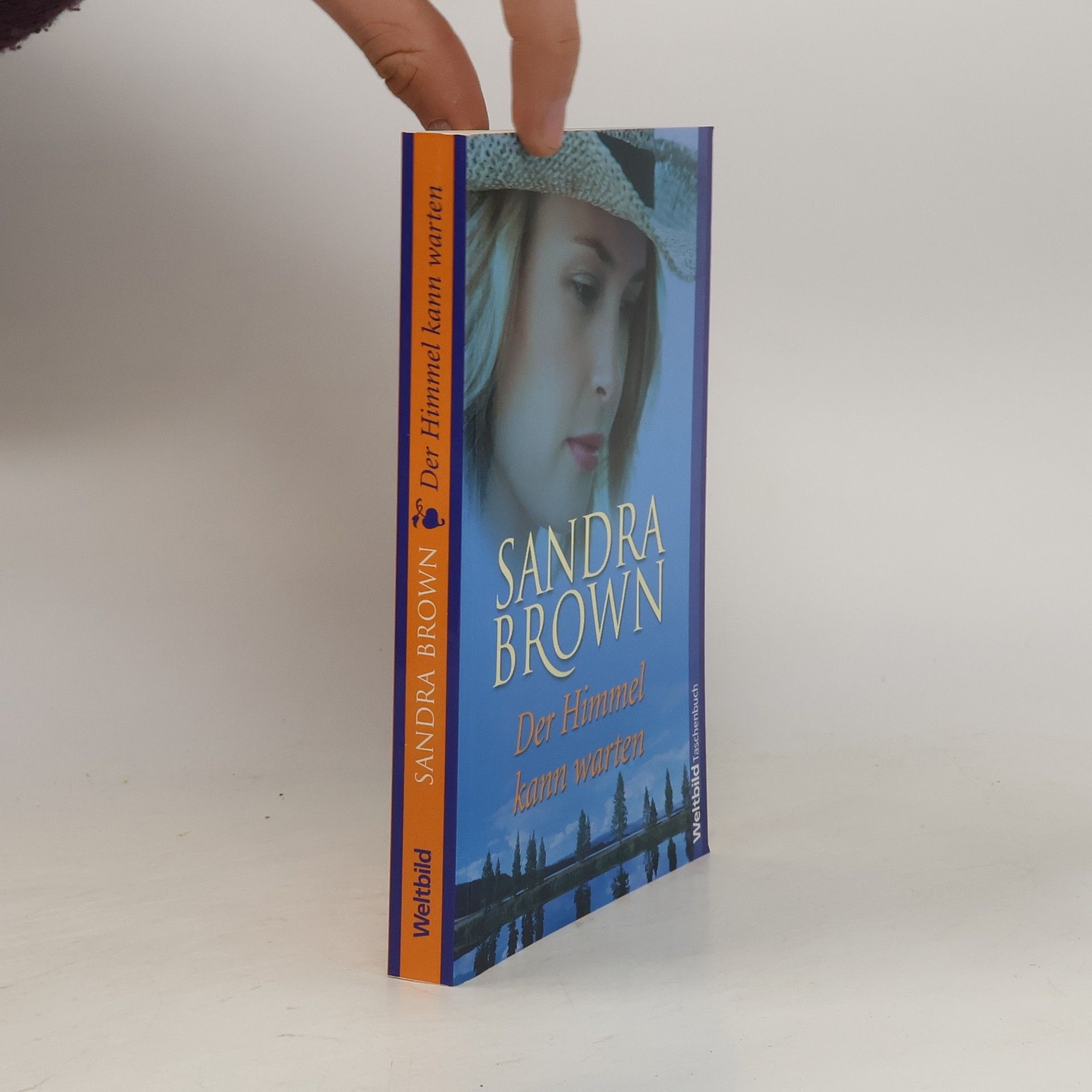 Sandra Brown Der Himmel kann warten