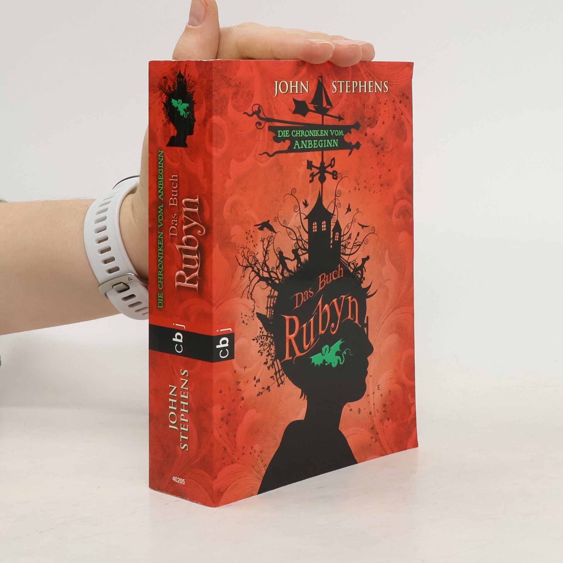 John Stephens Das Buch Rubyn - Die Chroniken vom Anbeginn. Band 2