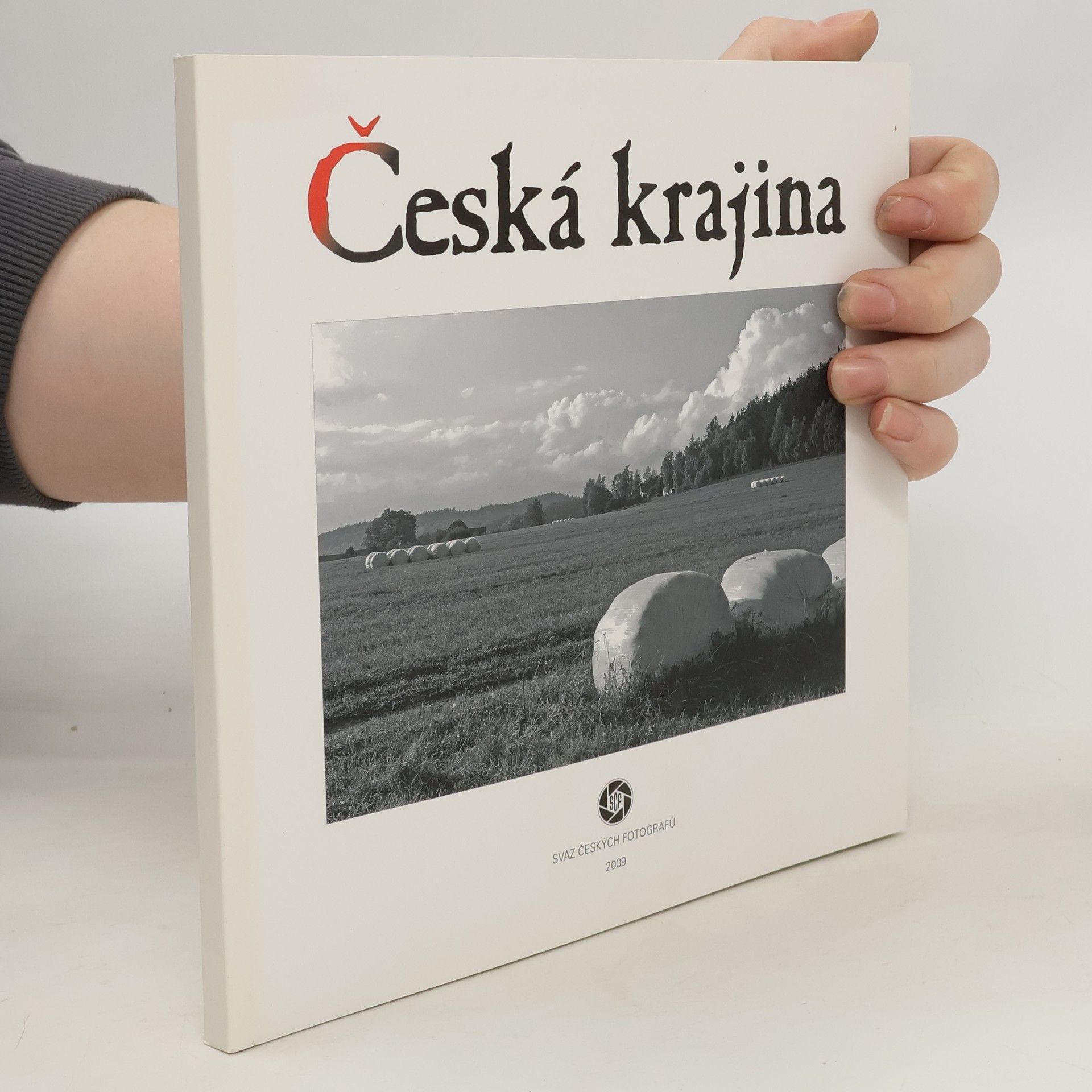 Collectif d'auteurs Česká krajina