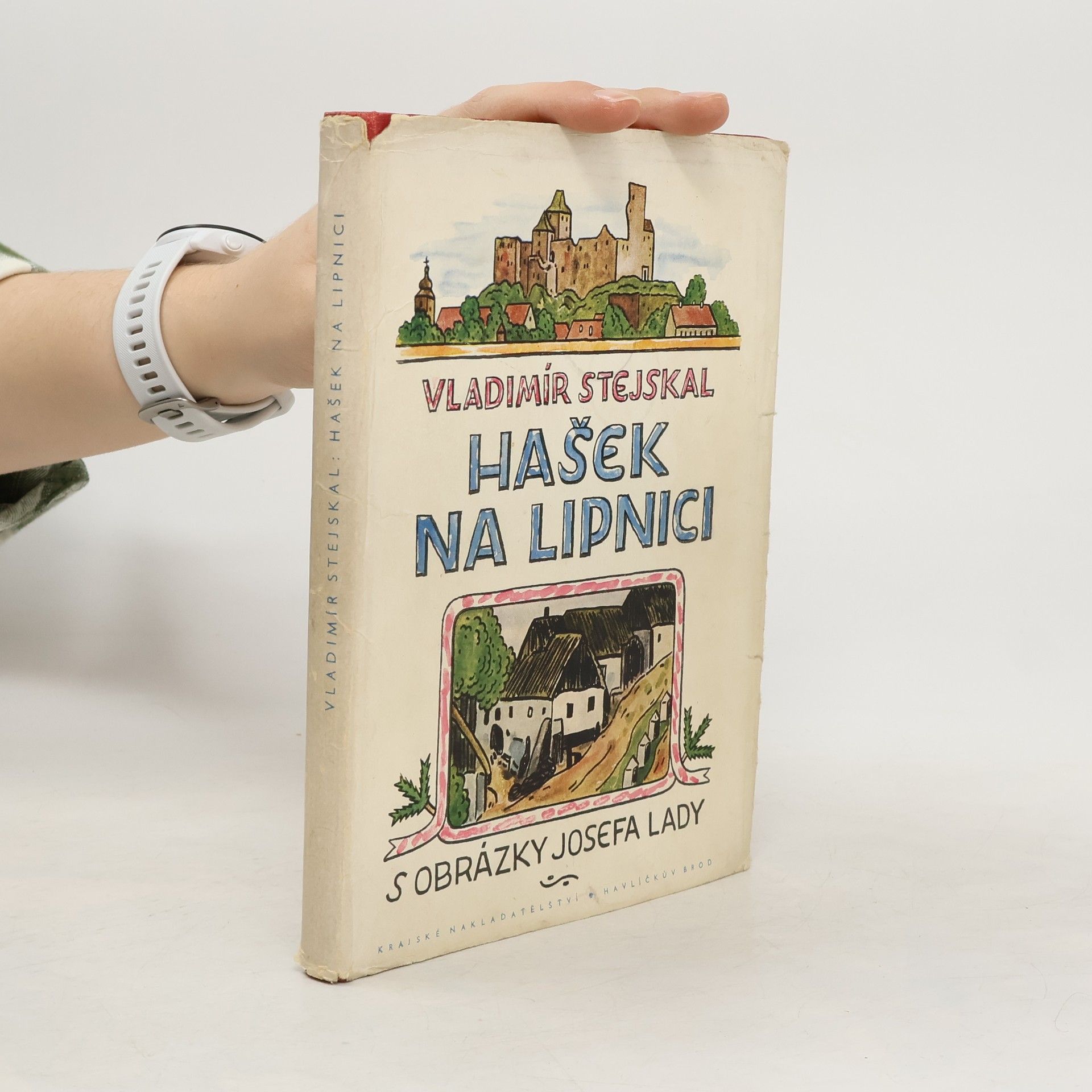 Vladimír Stejskal Hašek na Lipnici