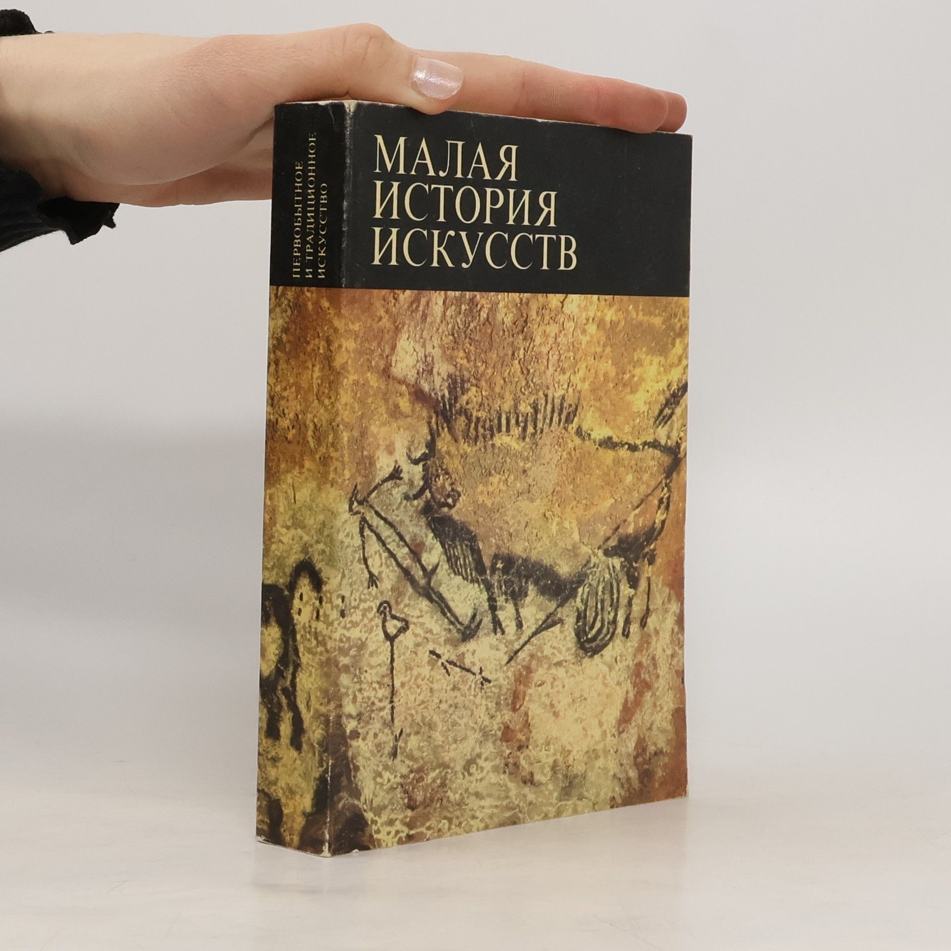 V.N.Tyazhelov Малая история искусств