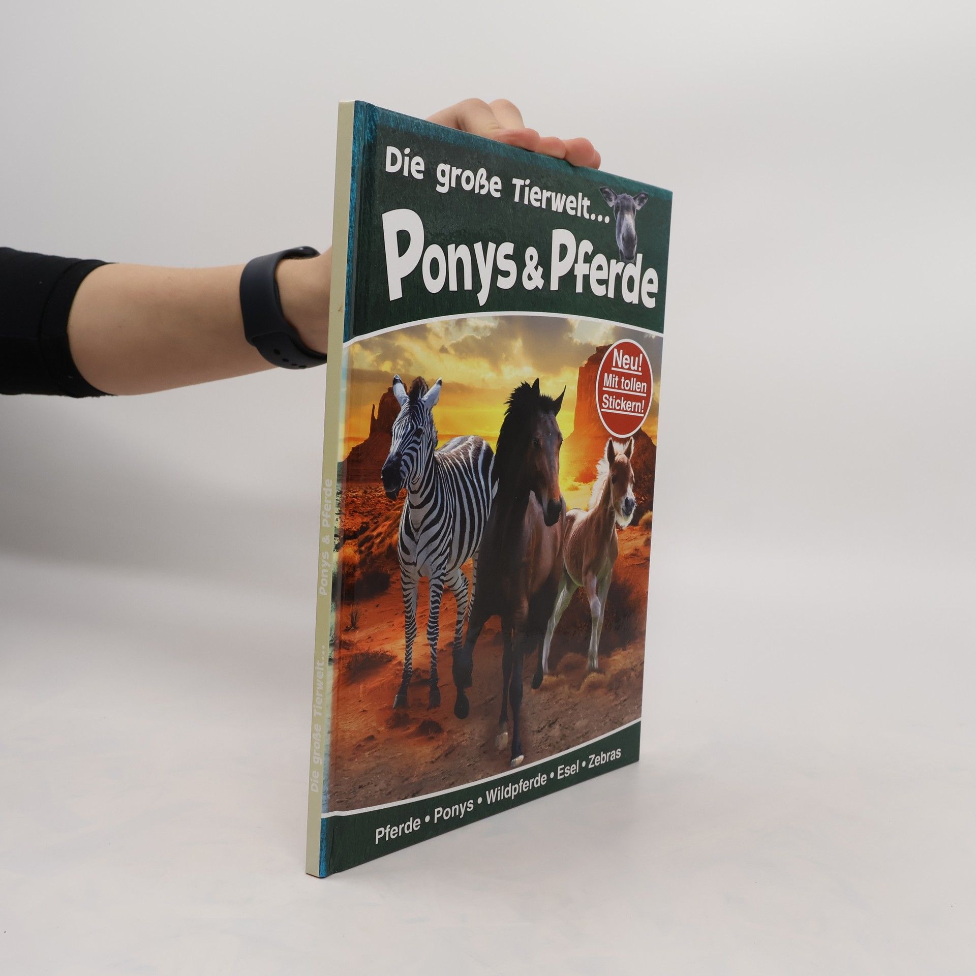 kolektiv Die große Tierwelt. Ponys & Pferde