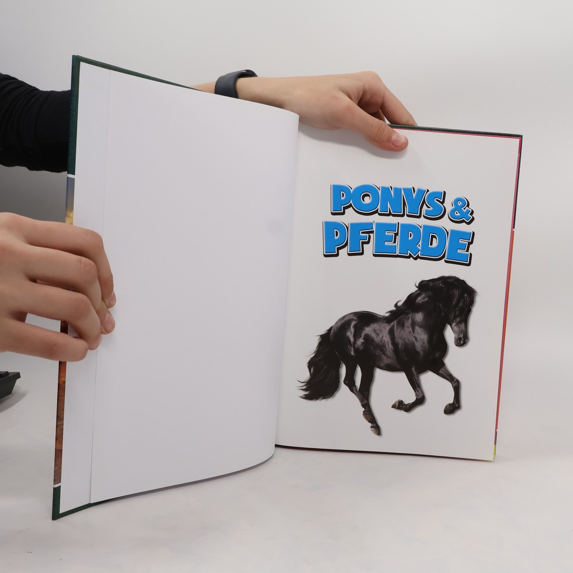 kolektiv Die große Tierwelt. Ponys & Pferde