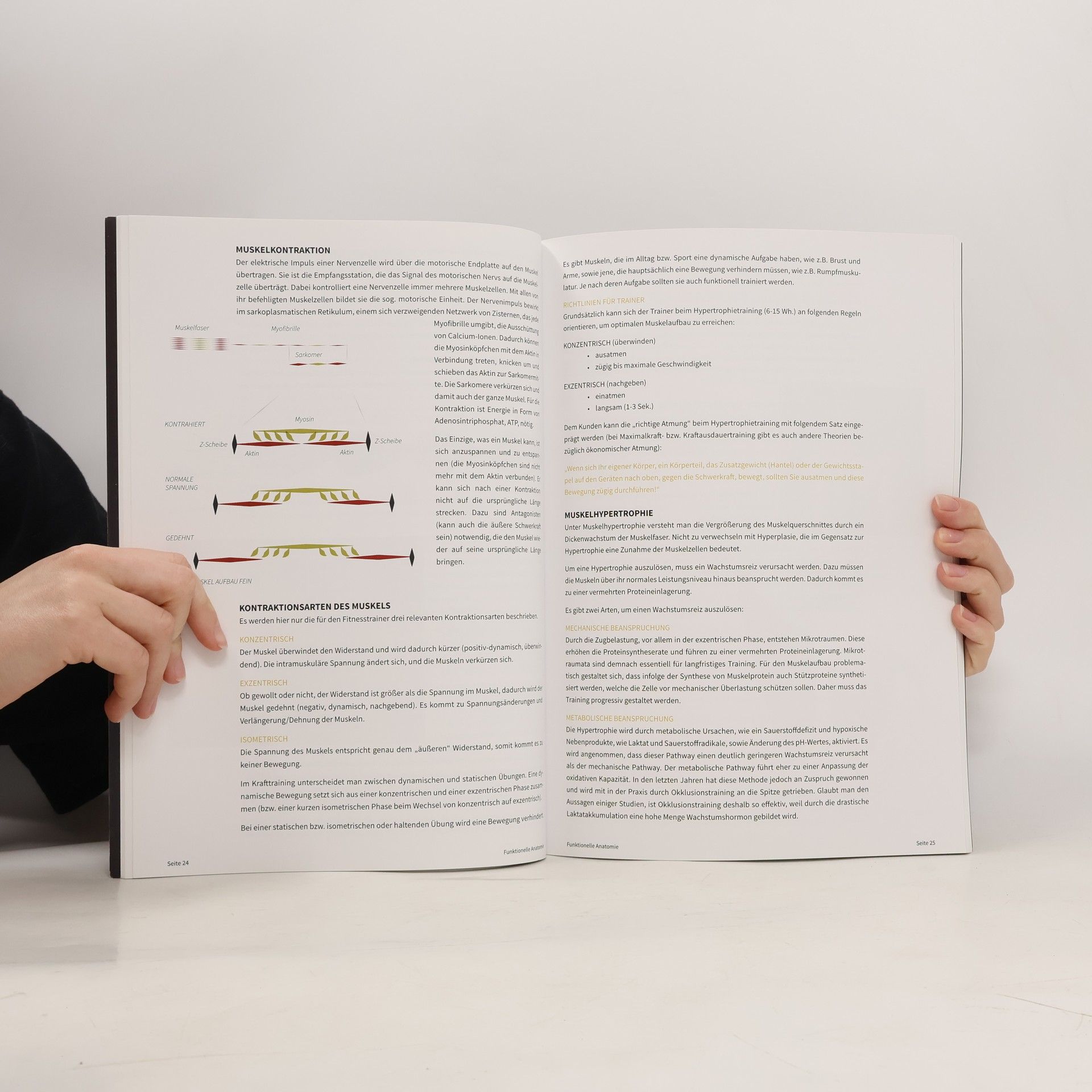 Andreas Pürzel Funktionelle Anatomie