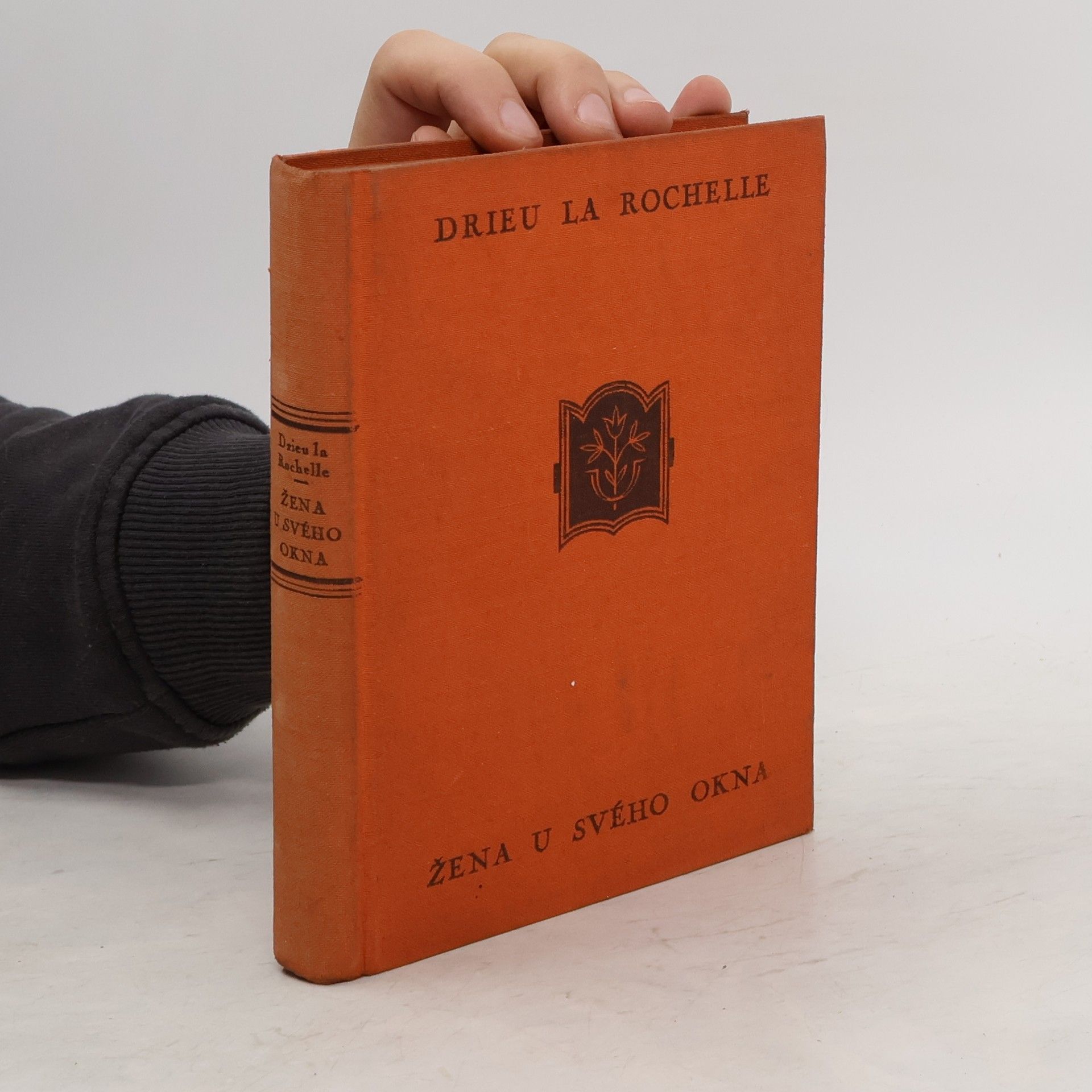Pierre Drieu la Rochelle Žena u svého okna