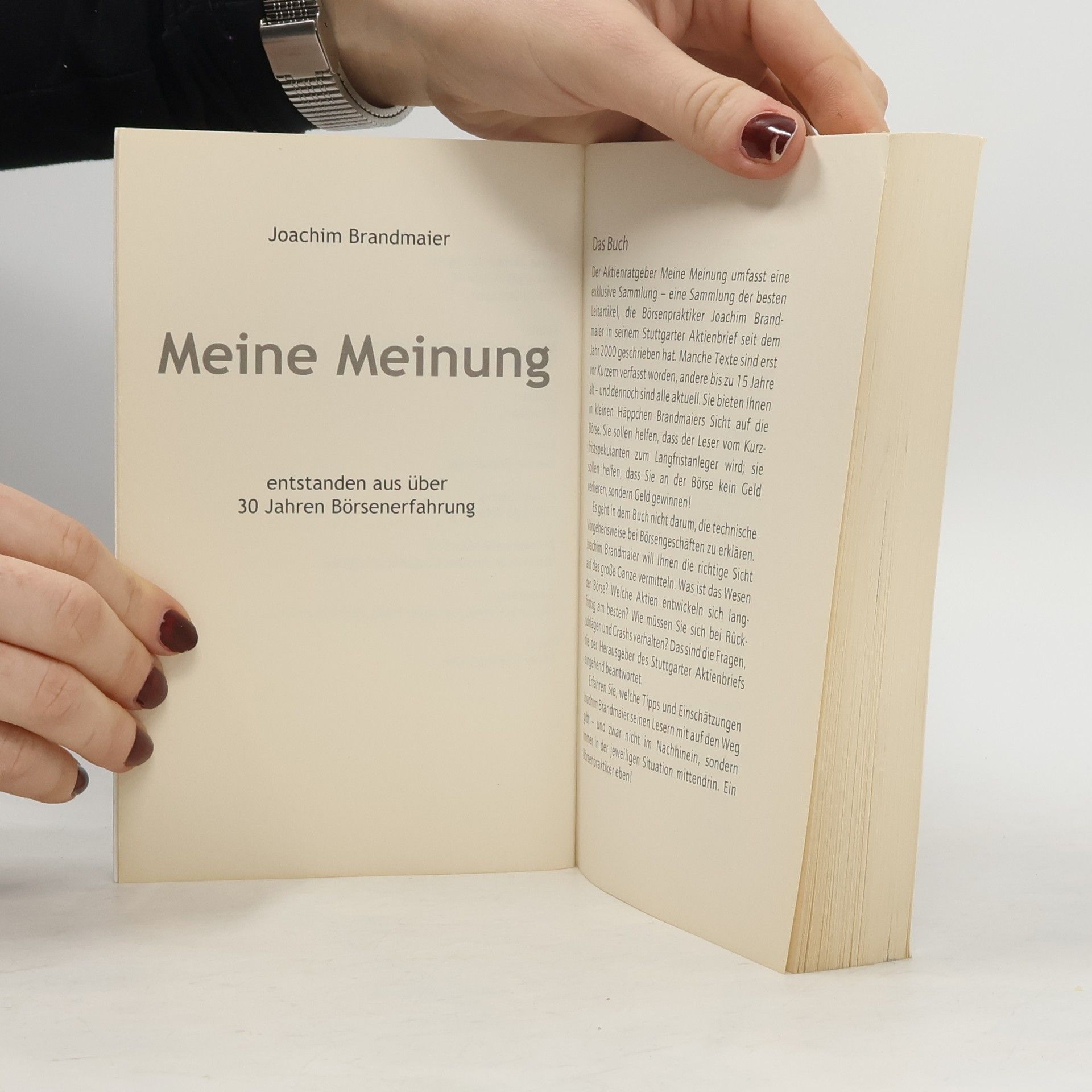 Joachim Brandmaier Meine Meinung. Der Aktienratgeber
