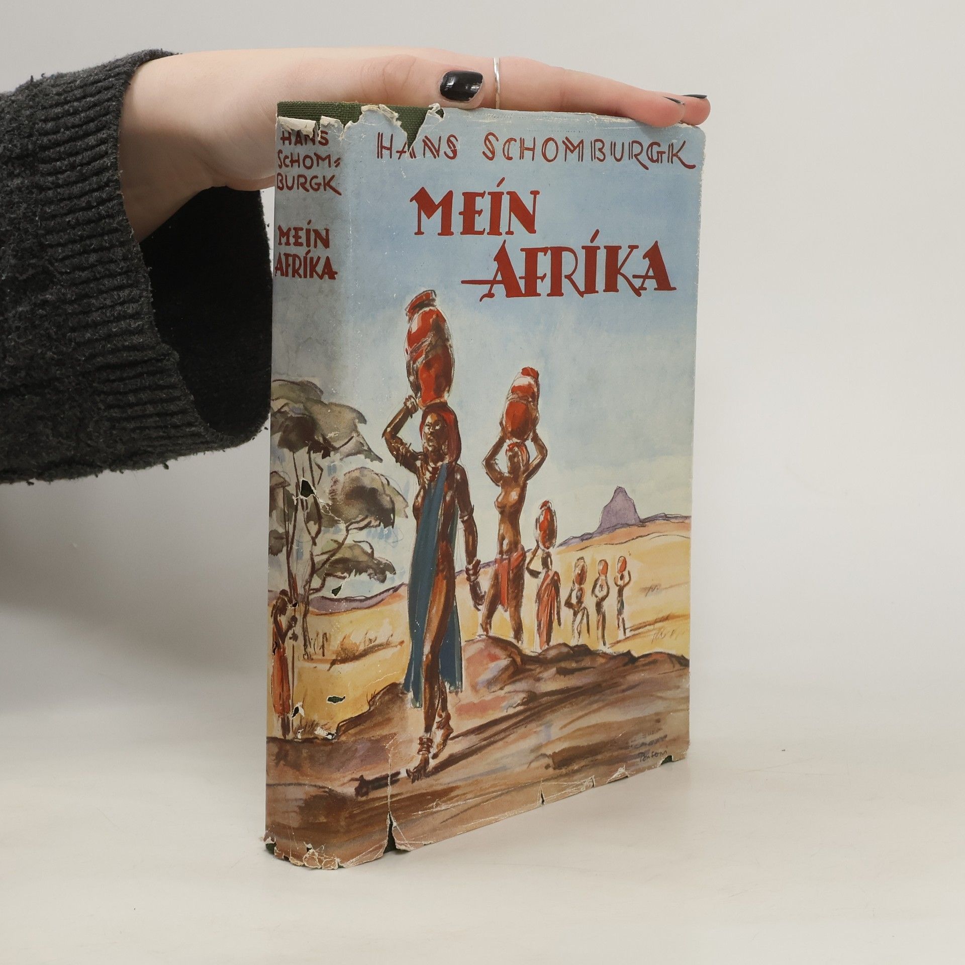 Hans Schomburgk Mein Afrika