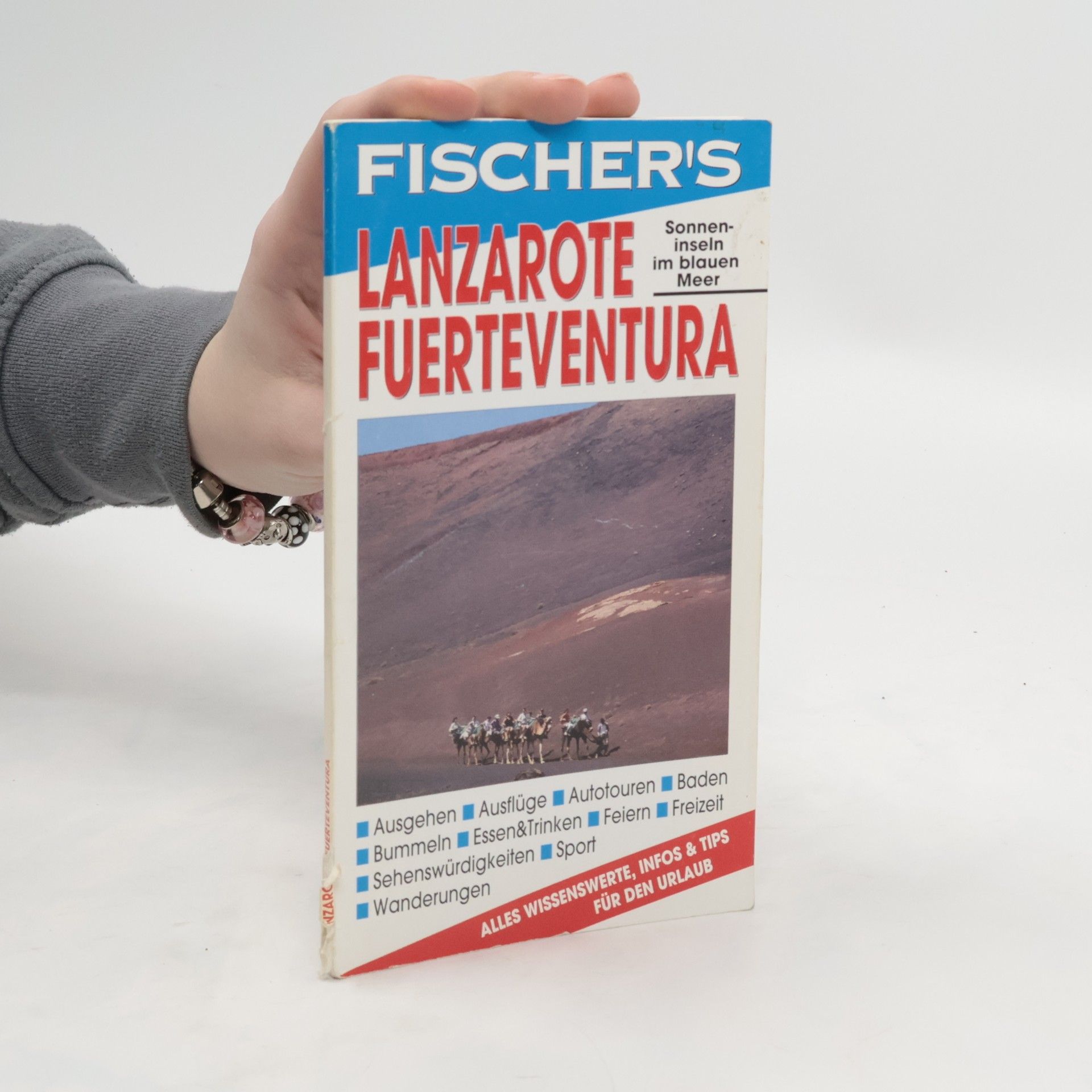 kolektiv Fischer's Lanzarote Fuerteventura