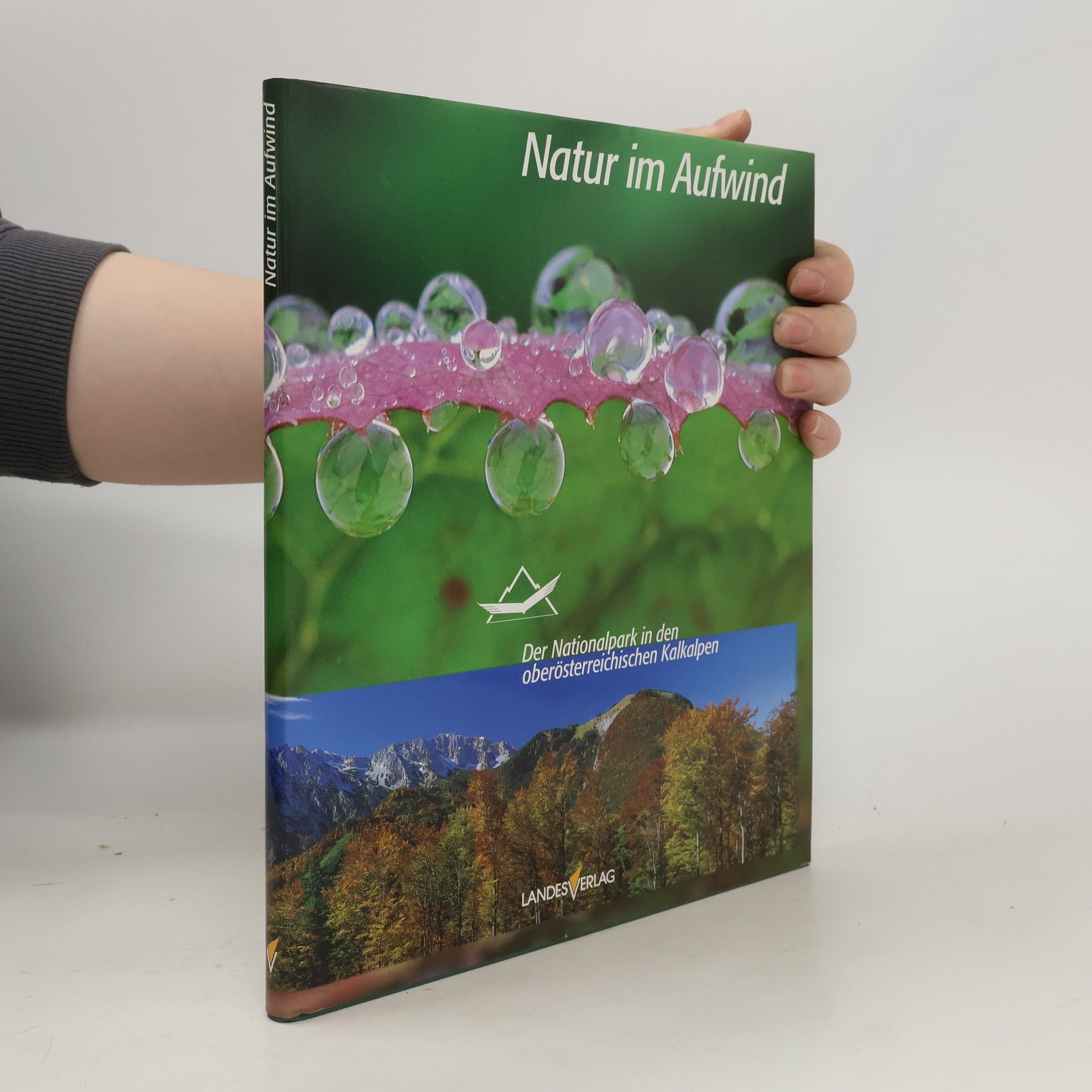Roswitha Schrutka Natur im Aufwind