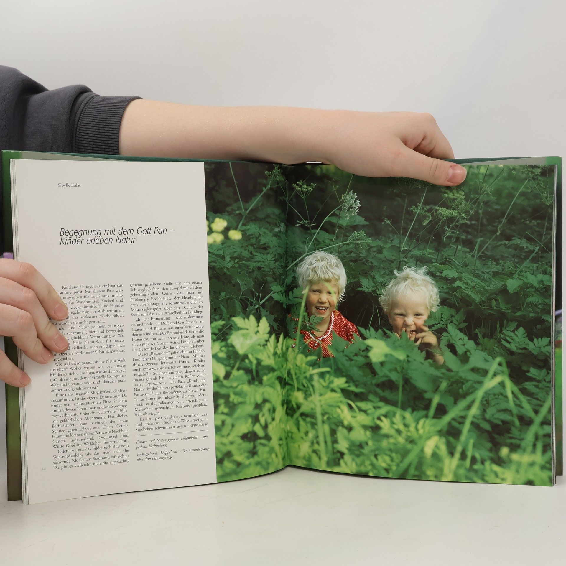 Roswitha Schrutka Natur im Aufwind