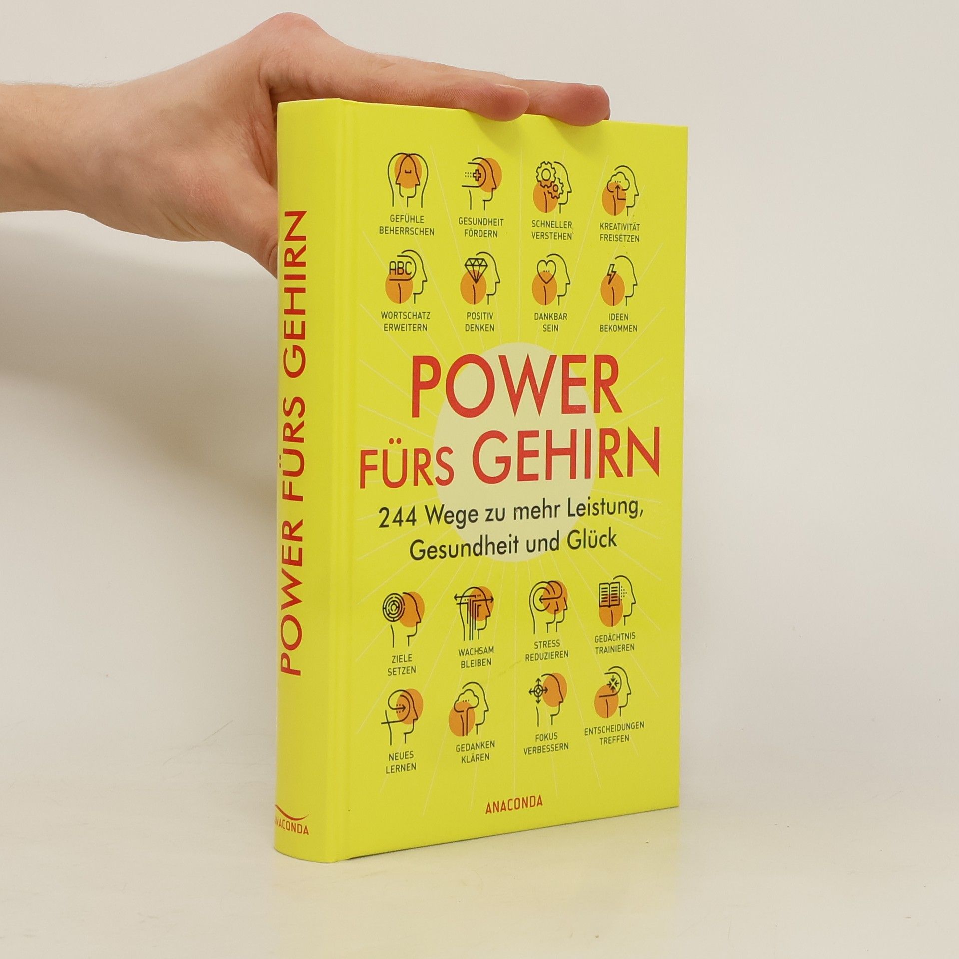 Felix Mayer Power fürs Gehirn