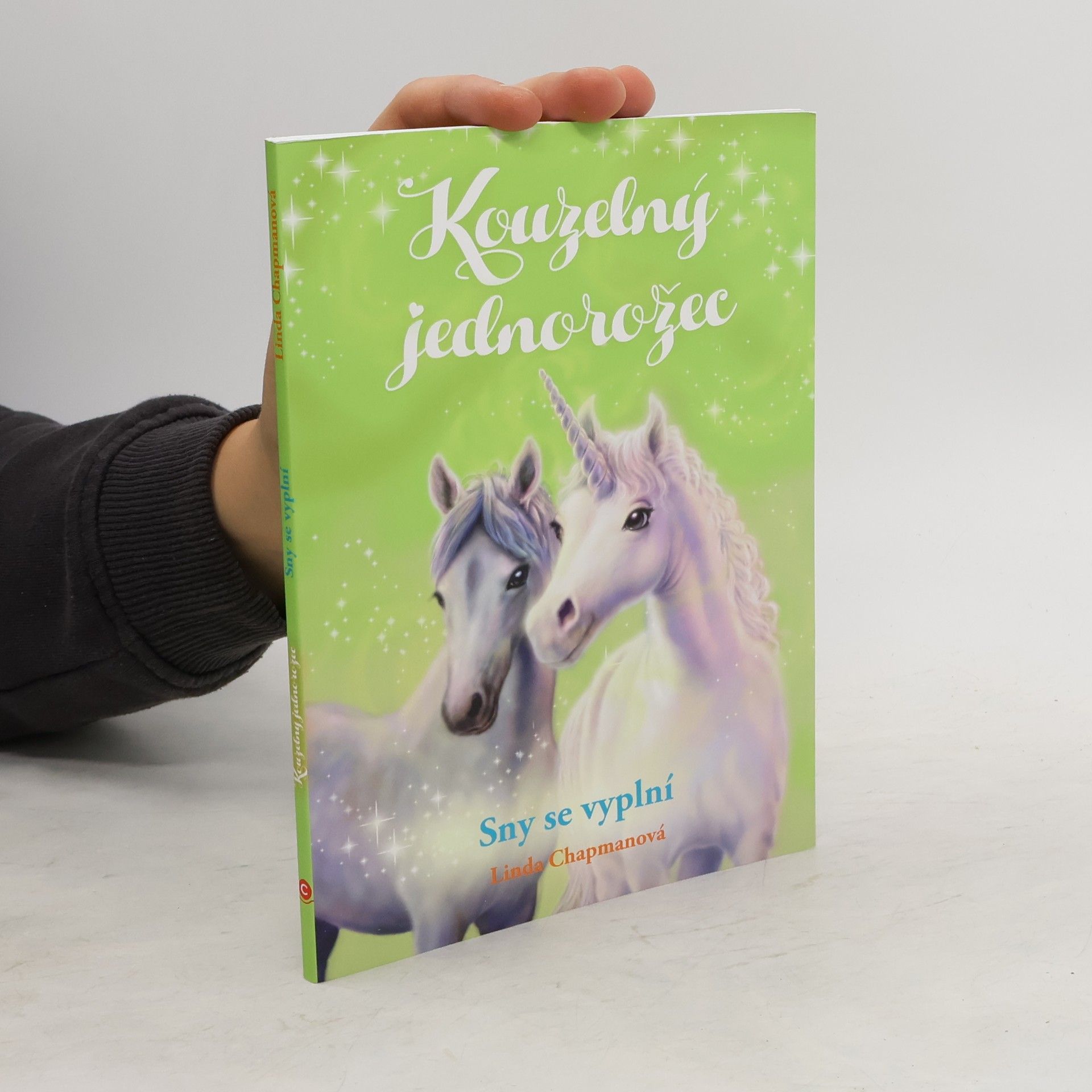 Linda Chapman Sny se vyplní
