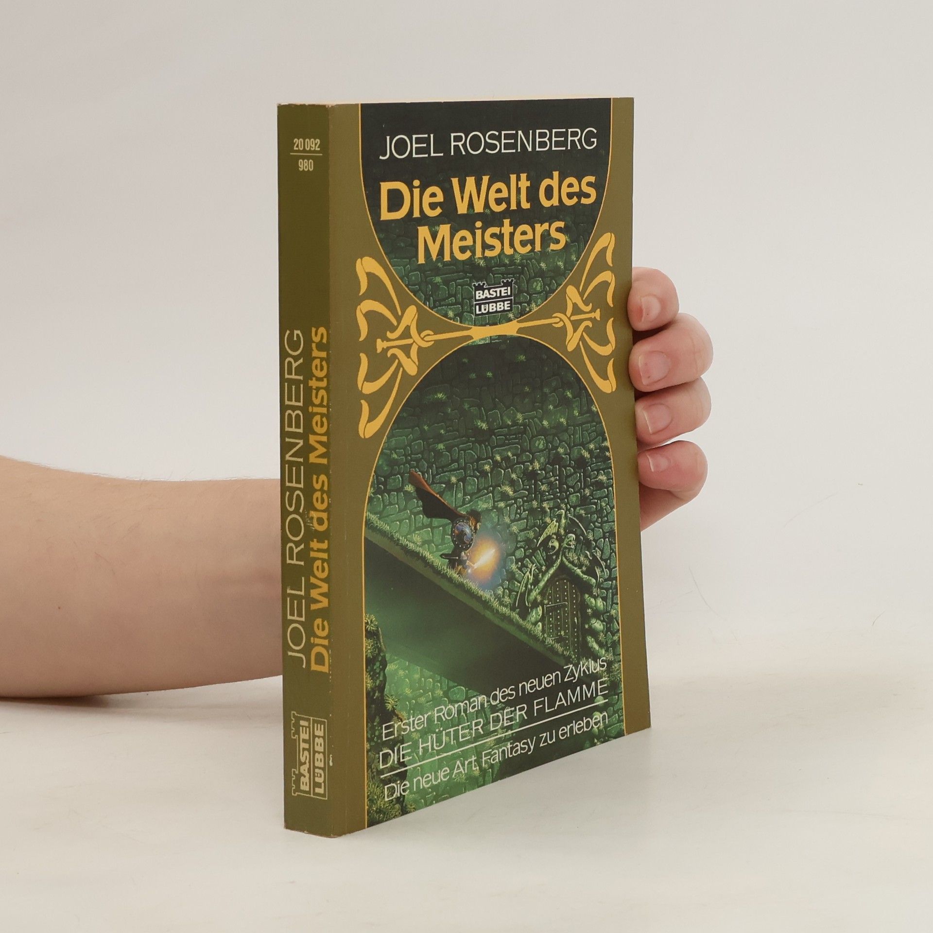Joel Rosenberg Die Welt des Meisters. Fantasy