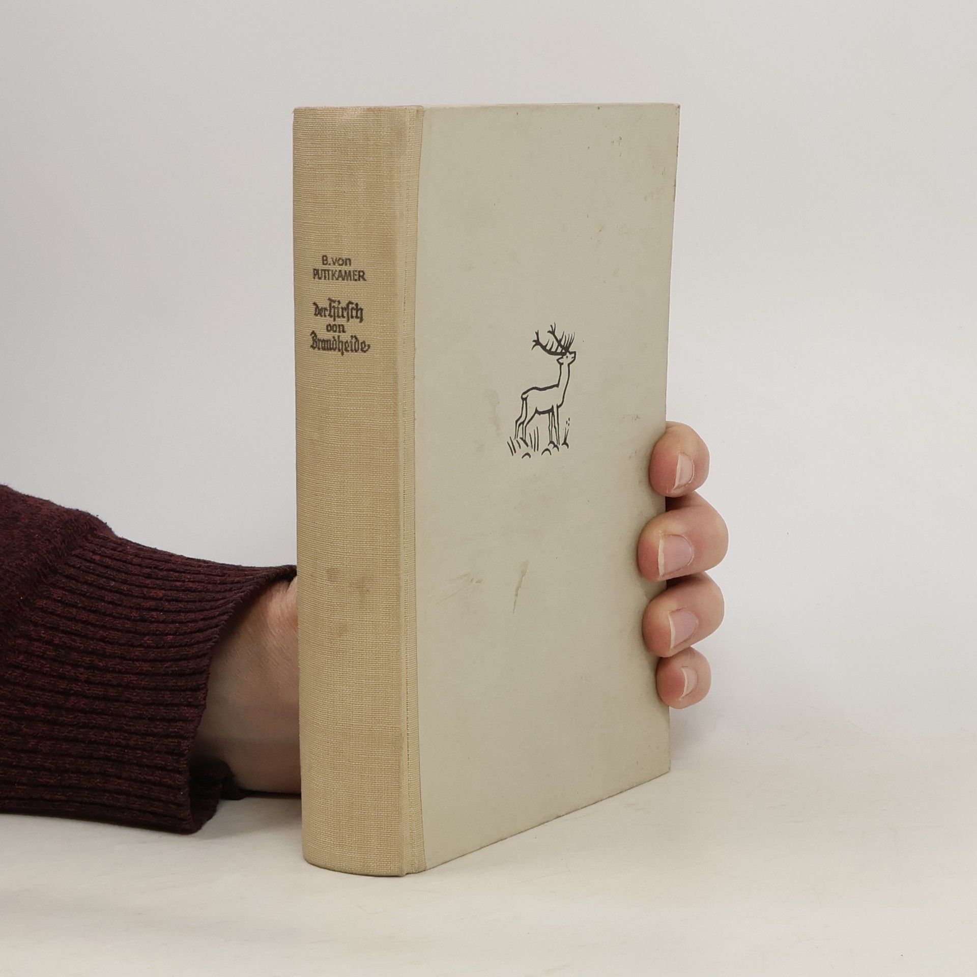 Der Hirsch von Brandheide