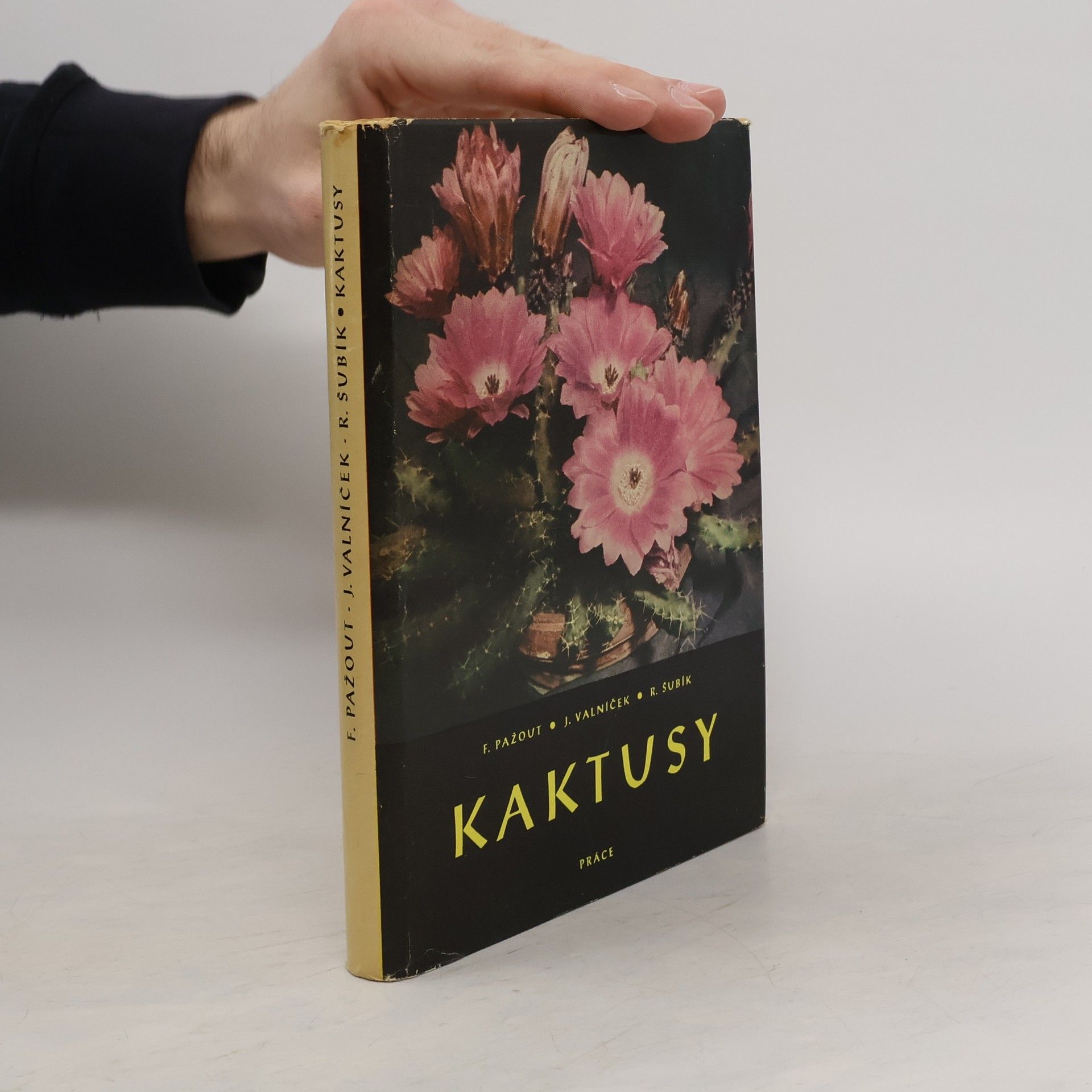 F. Pažout Kaktusy