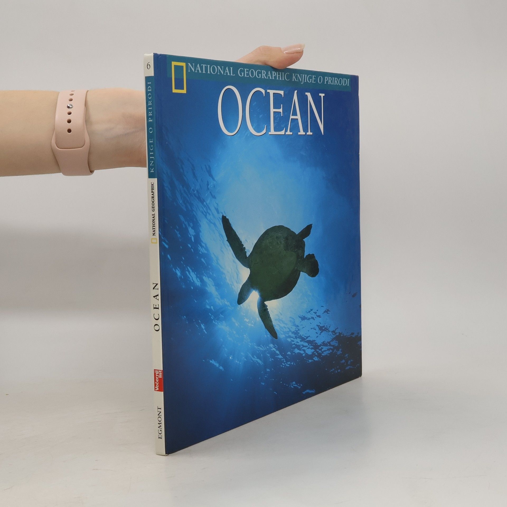 kolektiv Ocean