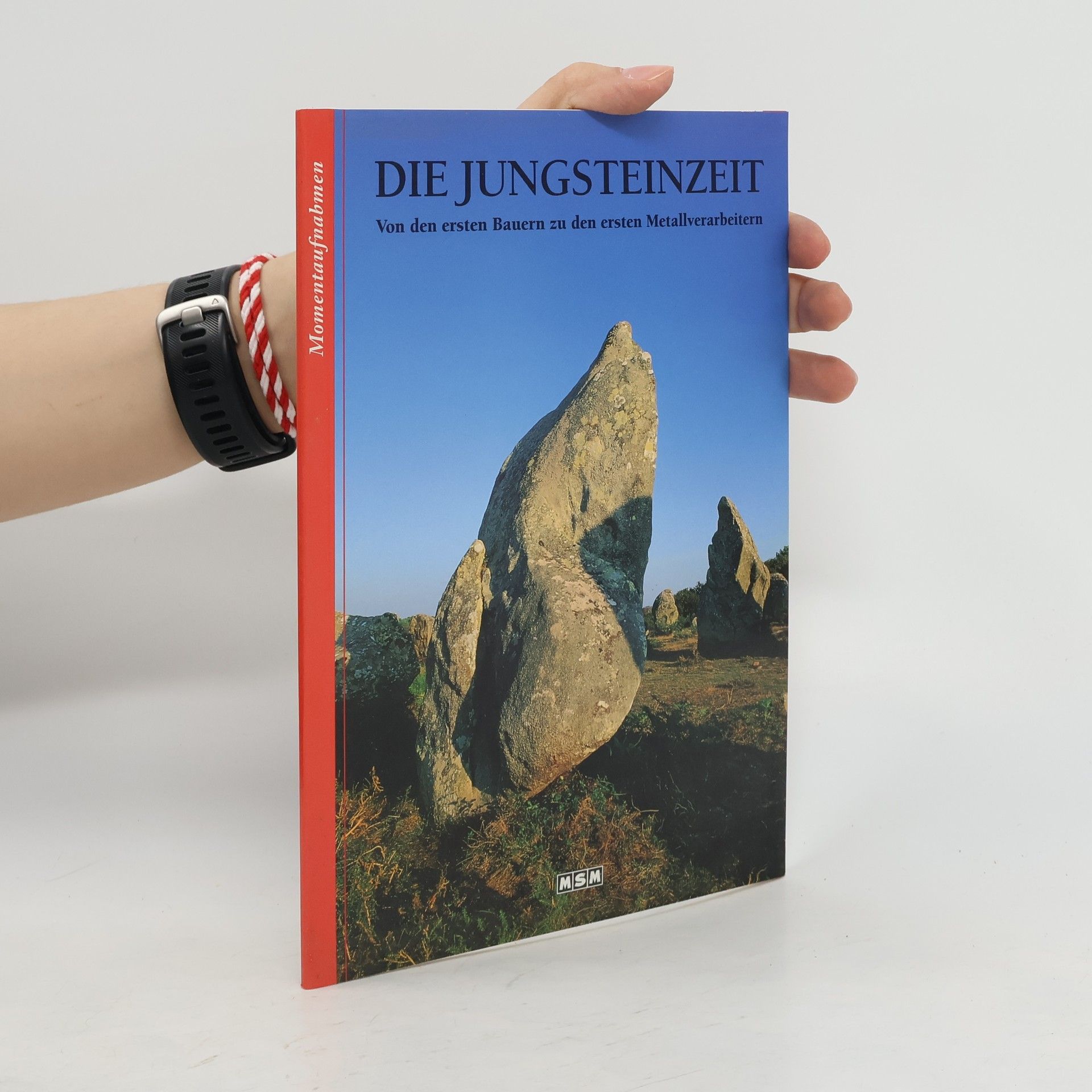 Pierre Machu Die Jungsteinzeit. Von den ersten Bauern zu den ersten Metallverarbeitern