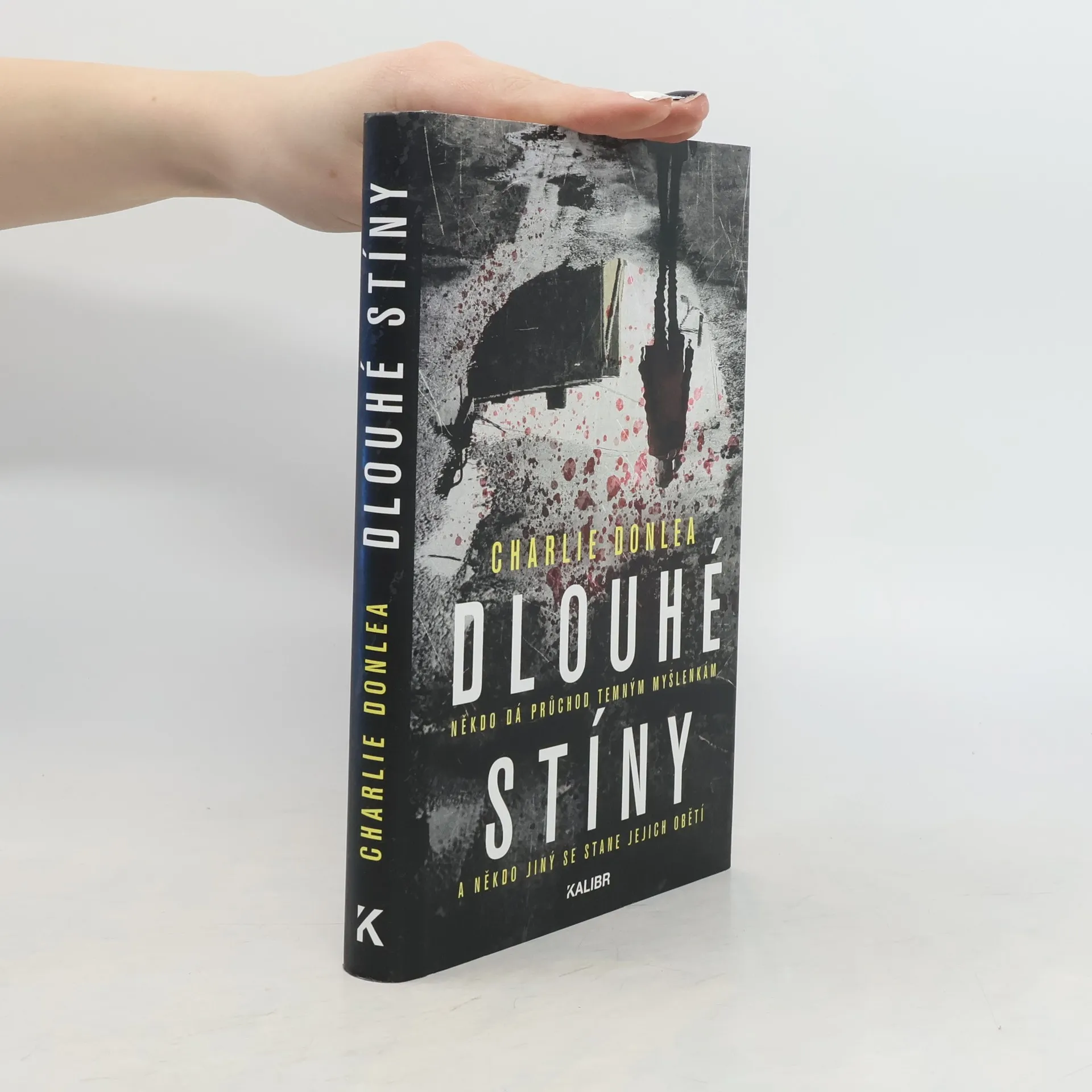 Dlouhé stíny | Book | Hardcover | Charlie Donlea | CS