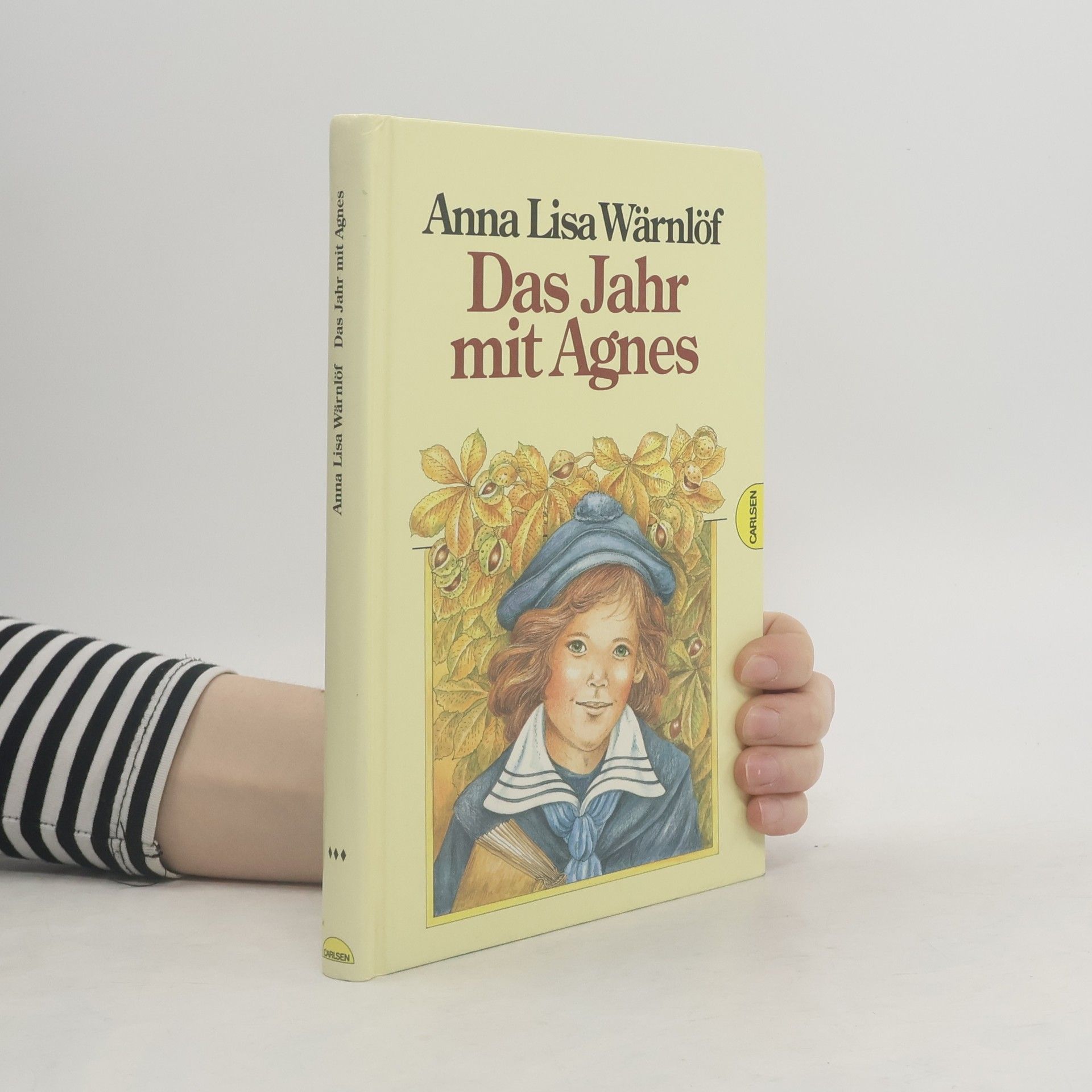 Anna Lisa Wärnlöf Das Jahr mit Agnes