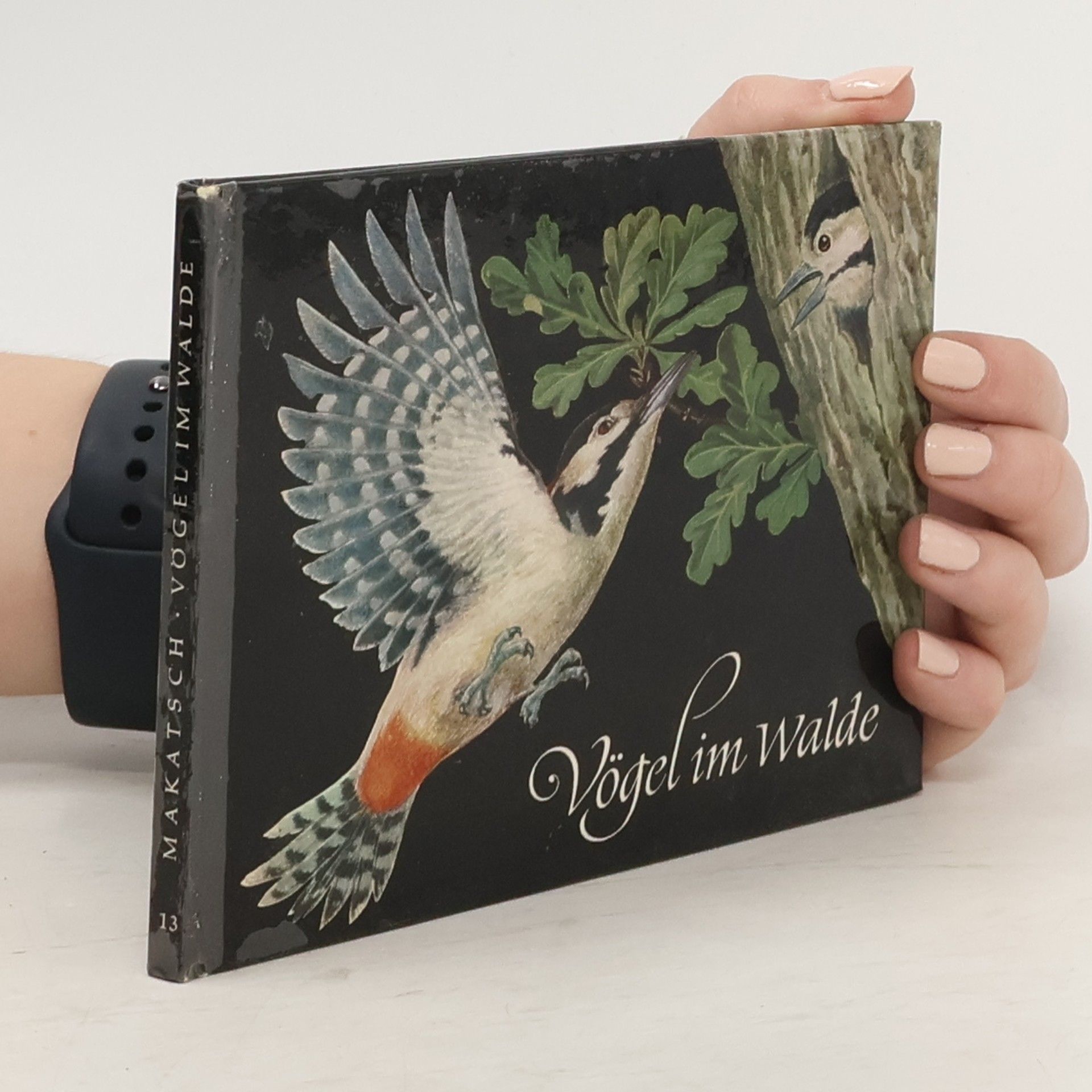 Wolfgang Makatsch Vögel im Walde