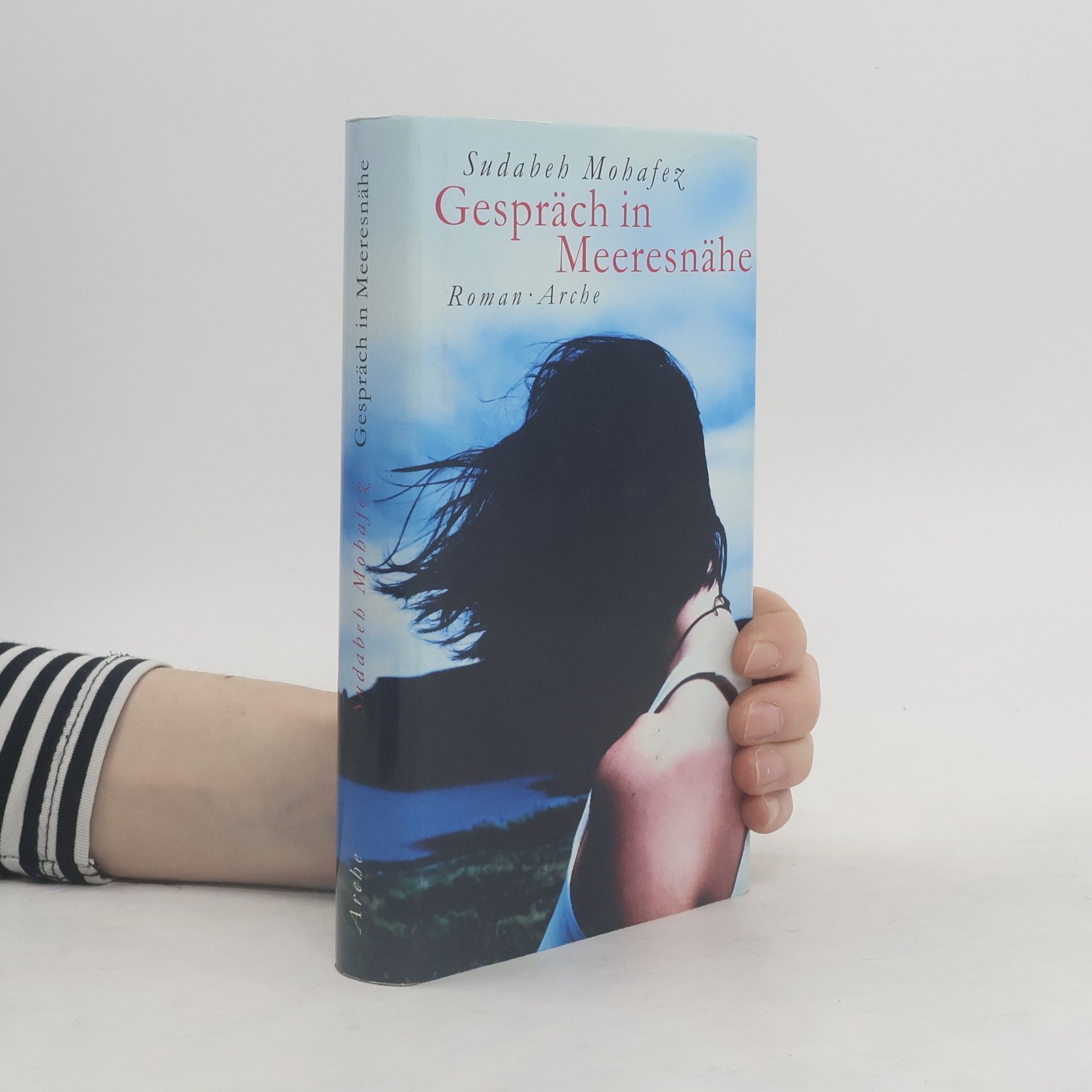 Sudabeh Mohafez Gespräch in Meeresnähe