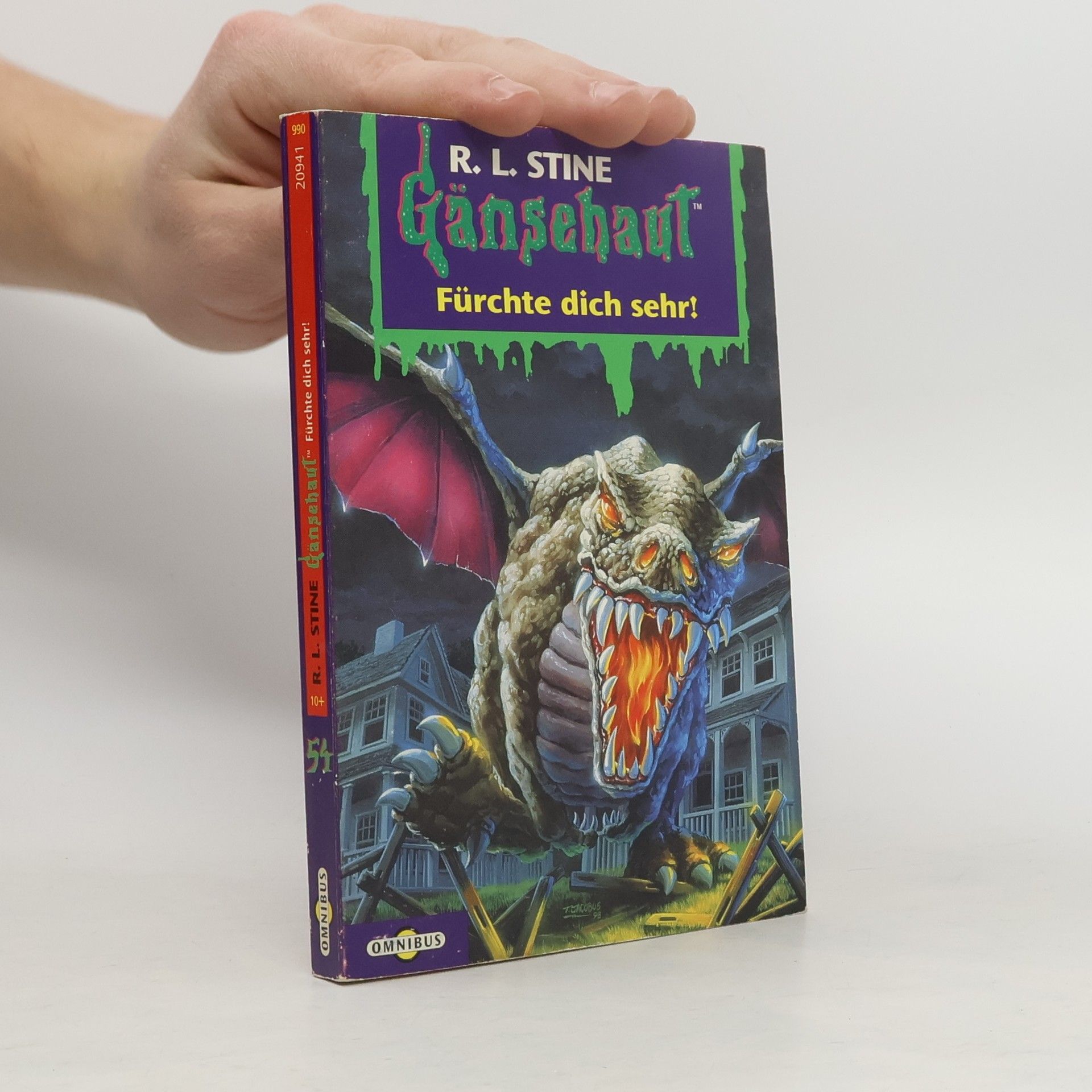 R. L. Stine Gänsehaut. Tl.54. Fürchte dich sehr!