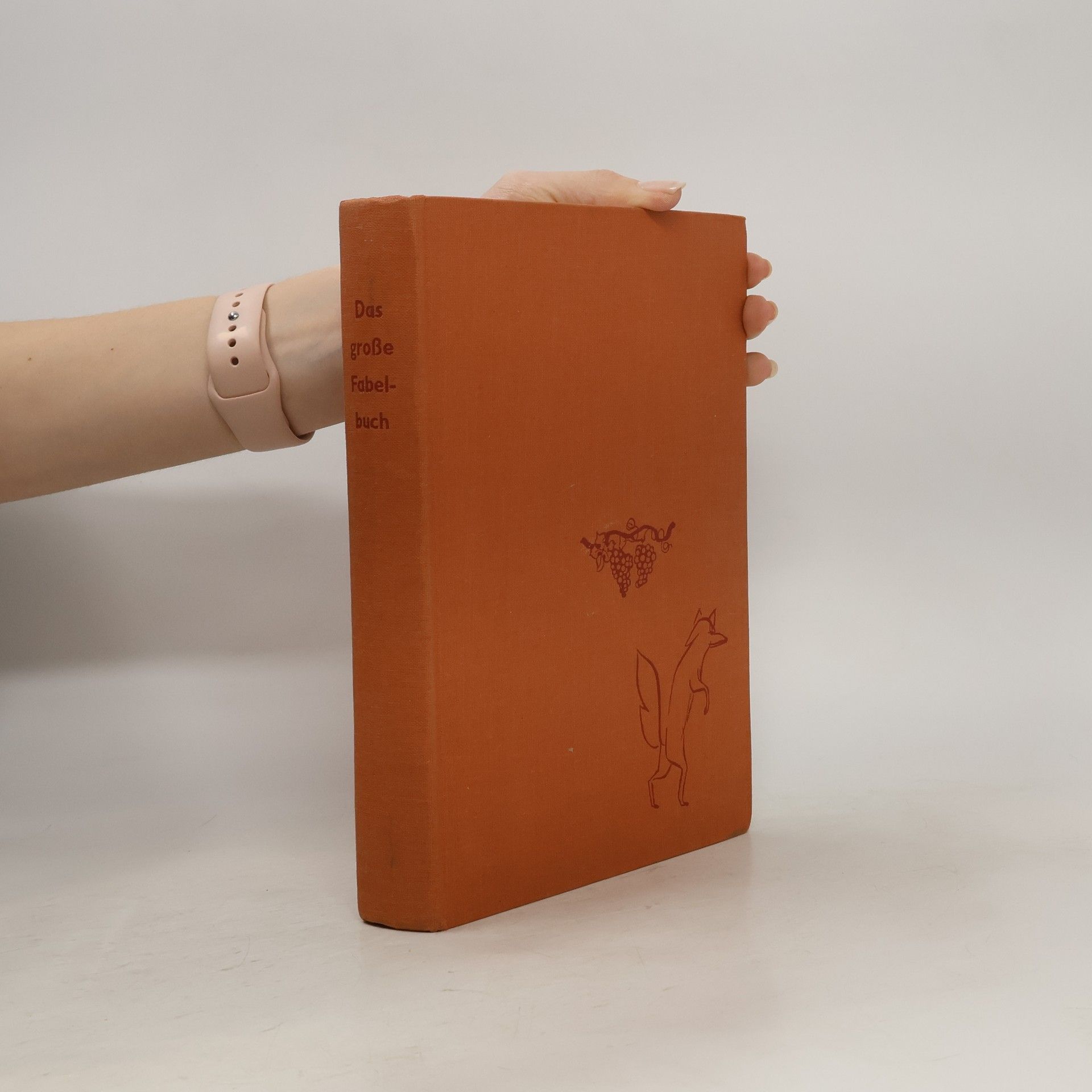 kolektiv Das grosse Fabelbuch