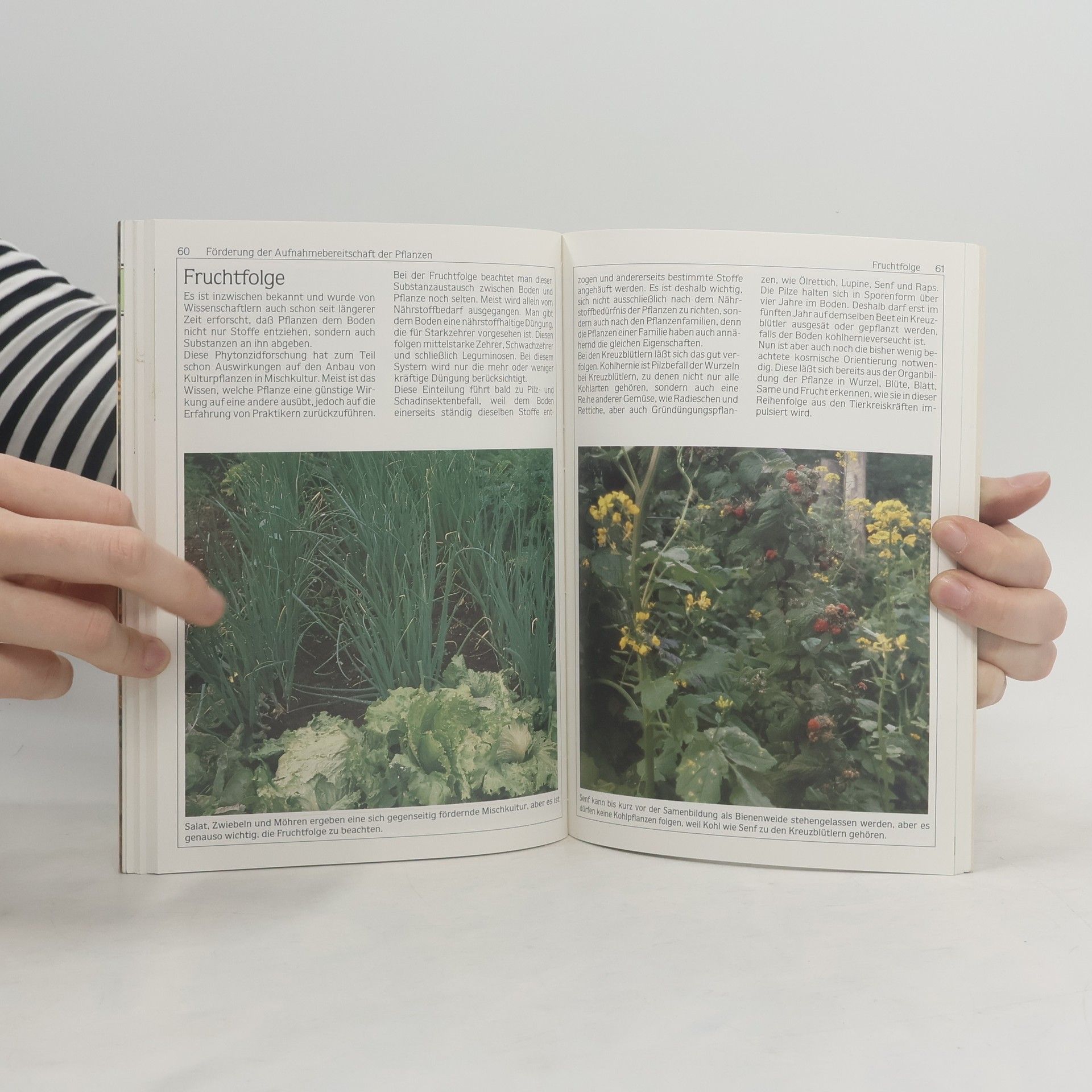 Ingrid Gabriel Kosmische Einflüsse auf unsere Gartenpflanzen
