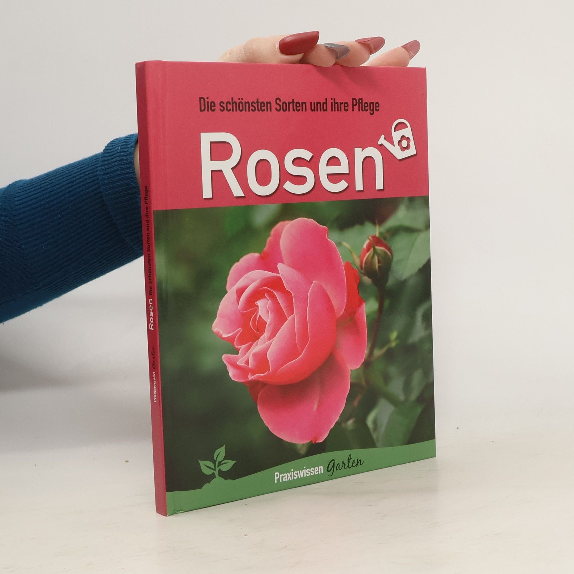 Autorenkollektiv Die schönsten Sorten und ihre Pflege Rosen