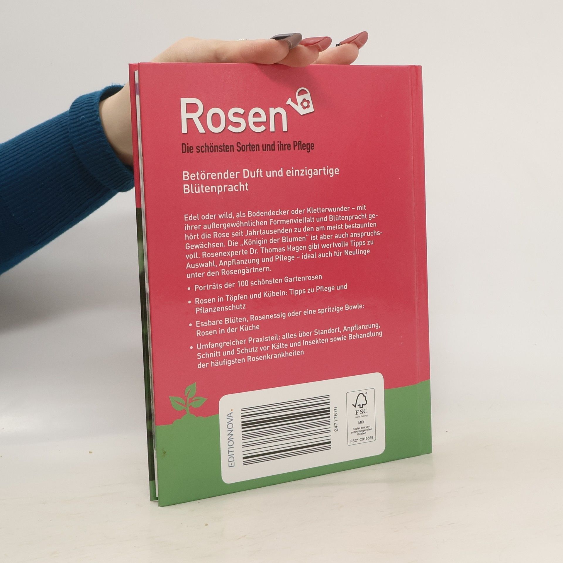 Autorenkollektiv Die schönsten Sorten und ihre Pflege Rosen