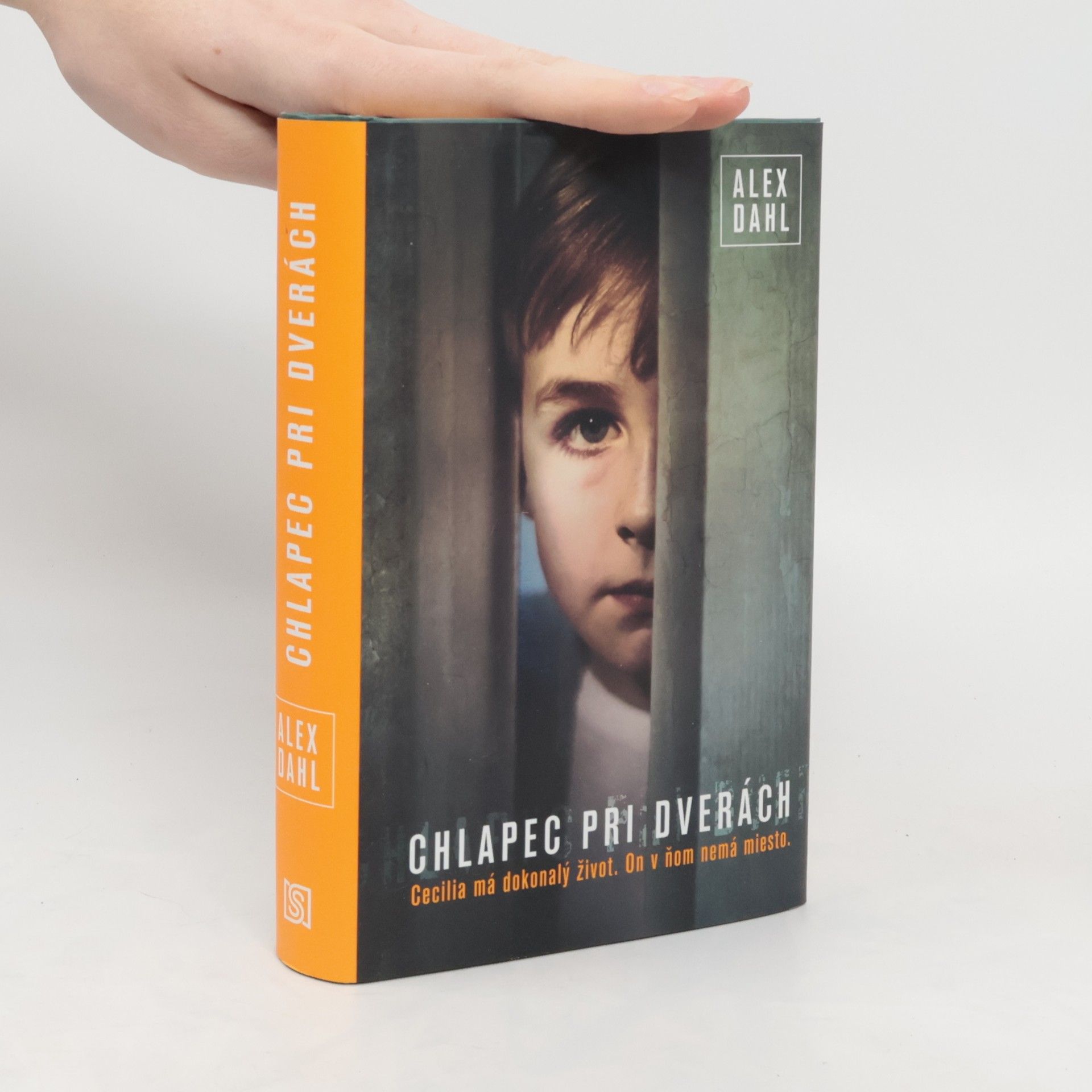 Alex Dahl Chlapec pri dverách