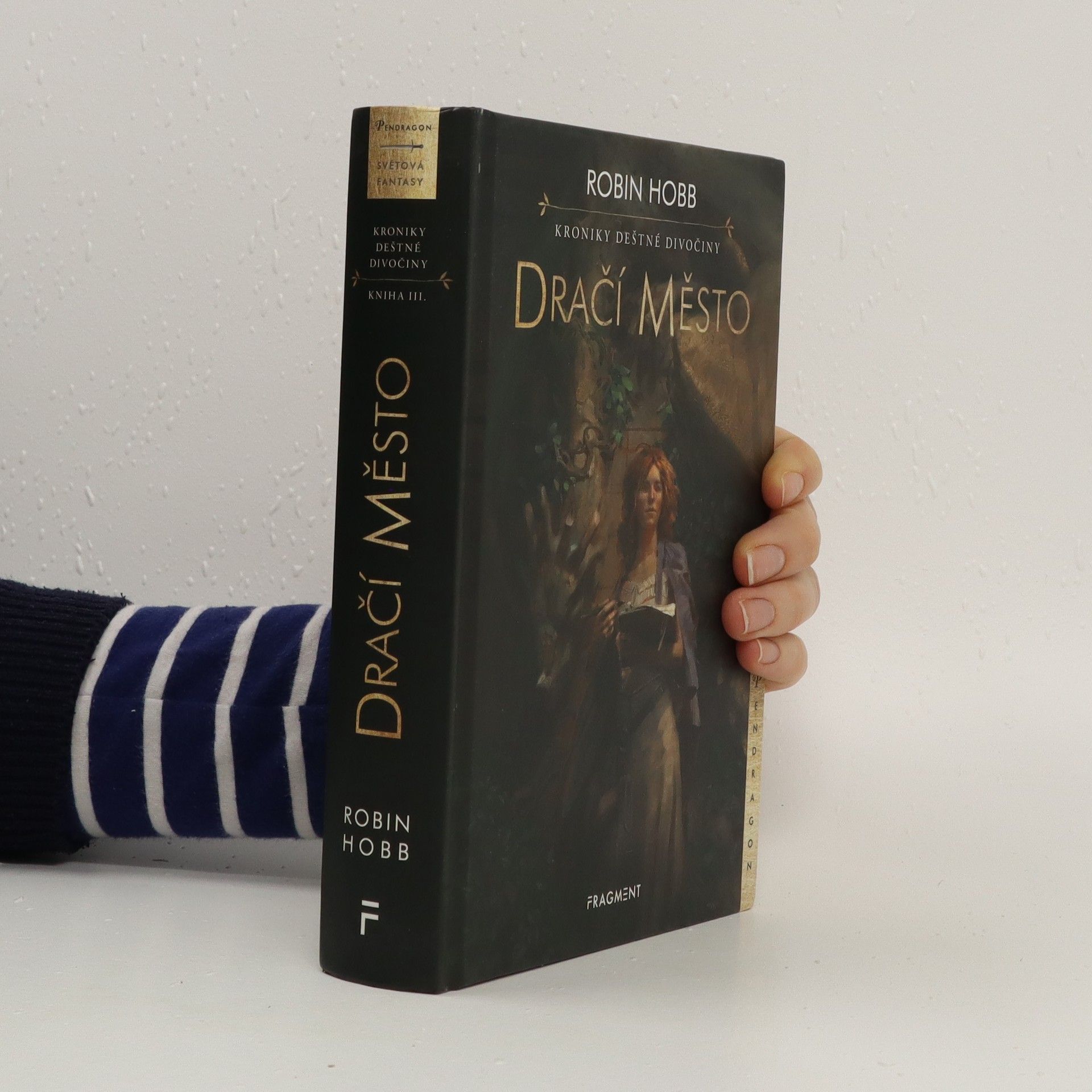 Robin Hobb Dračí město