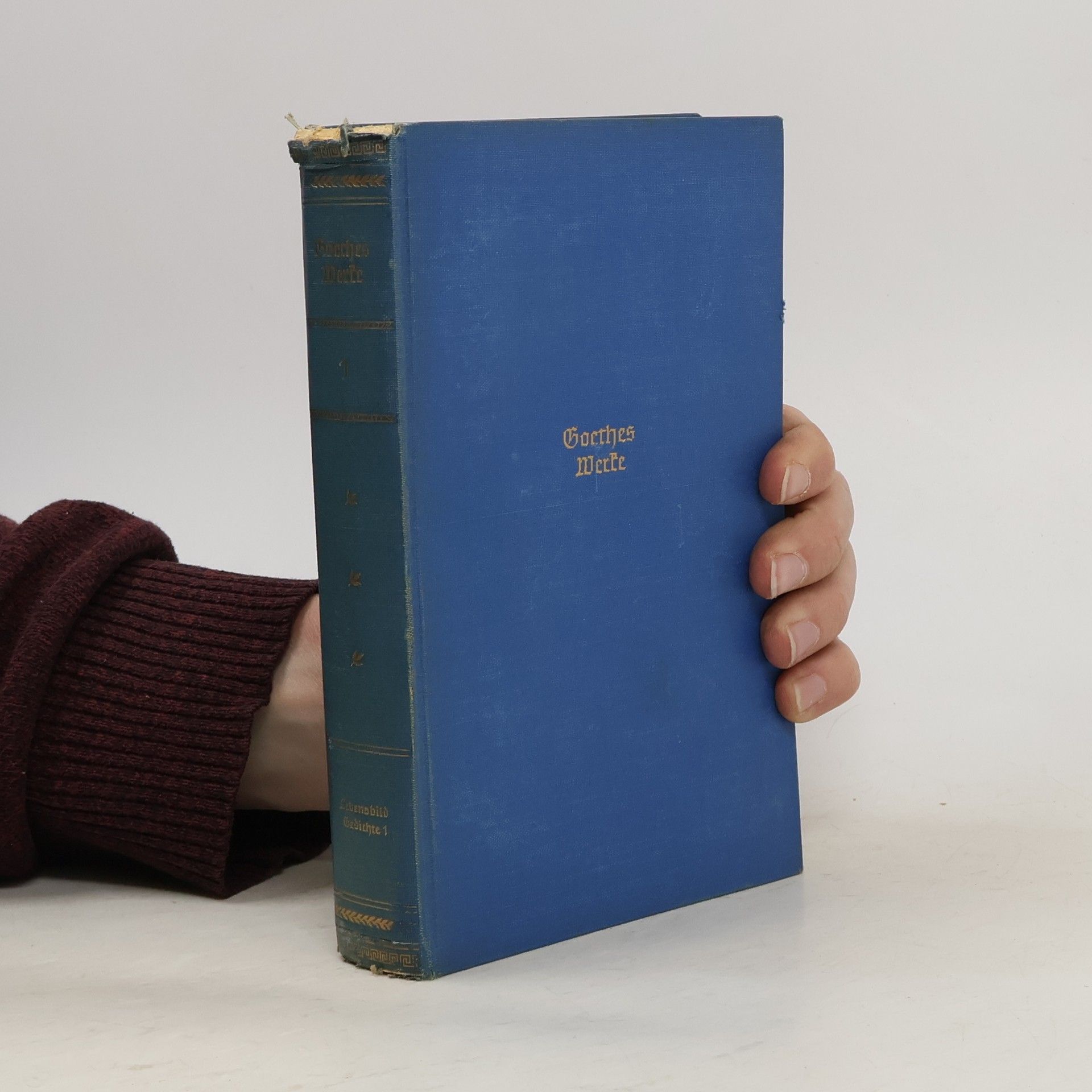 Johann Wolfgang von Goethe Goethes Werke Gedichte 1