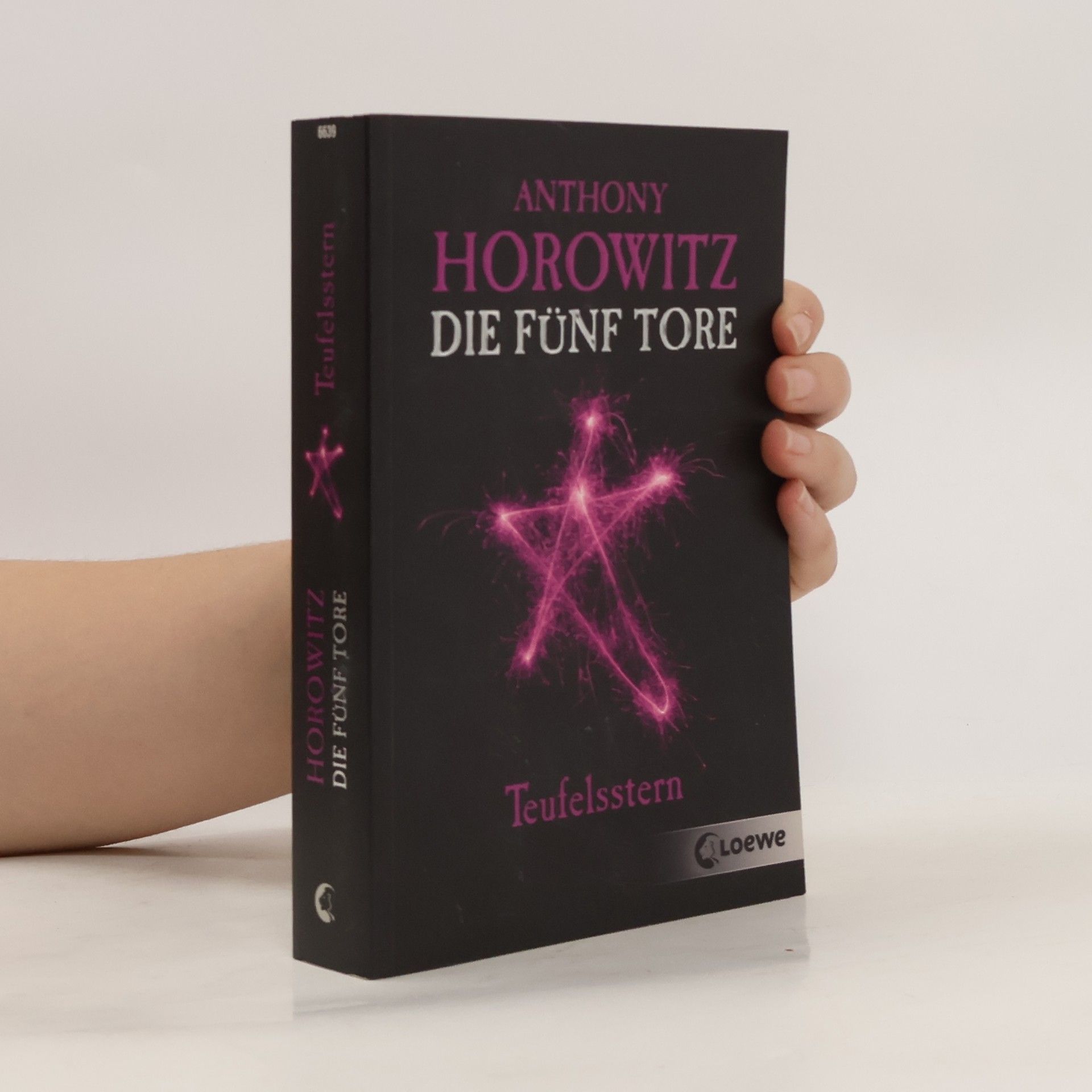 Anthony Horowitz Die fünf Tore