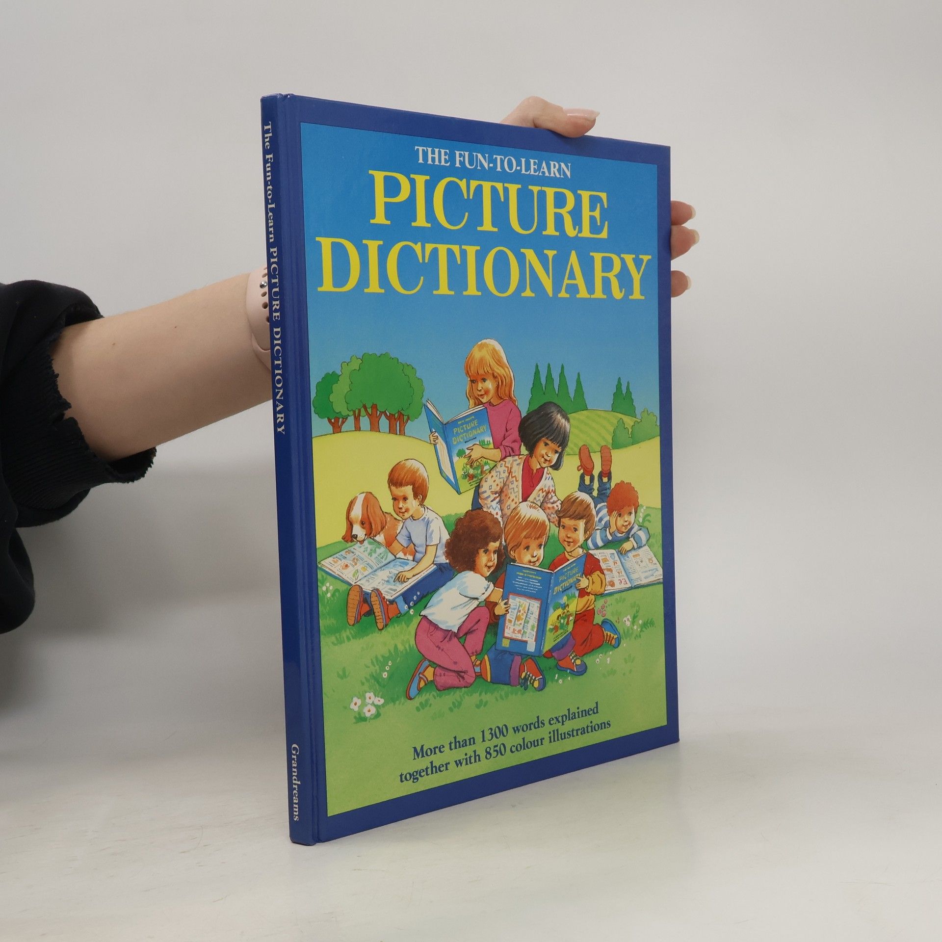 Ann McKie Fun-to-Learn Picture Dictionary